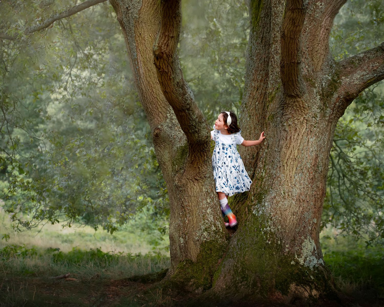 A girl in a white polka dot dress relaxes in the branches of a large old tree in a dreamy woodland setting.