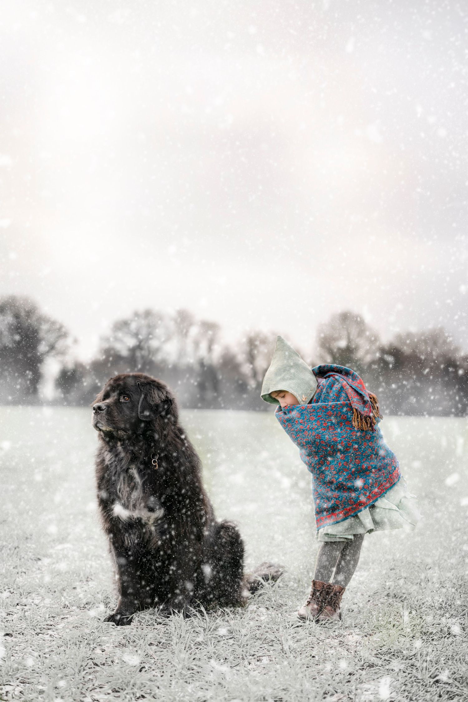 A child in winter clothing stands next to a large black dog in a snowy field while snowflakes fall around them.