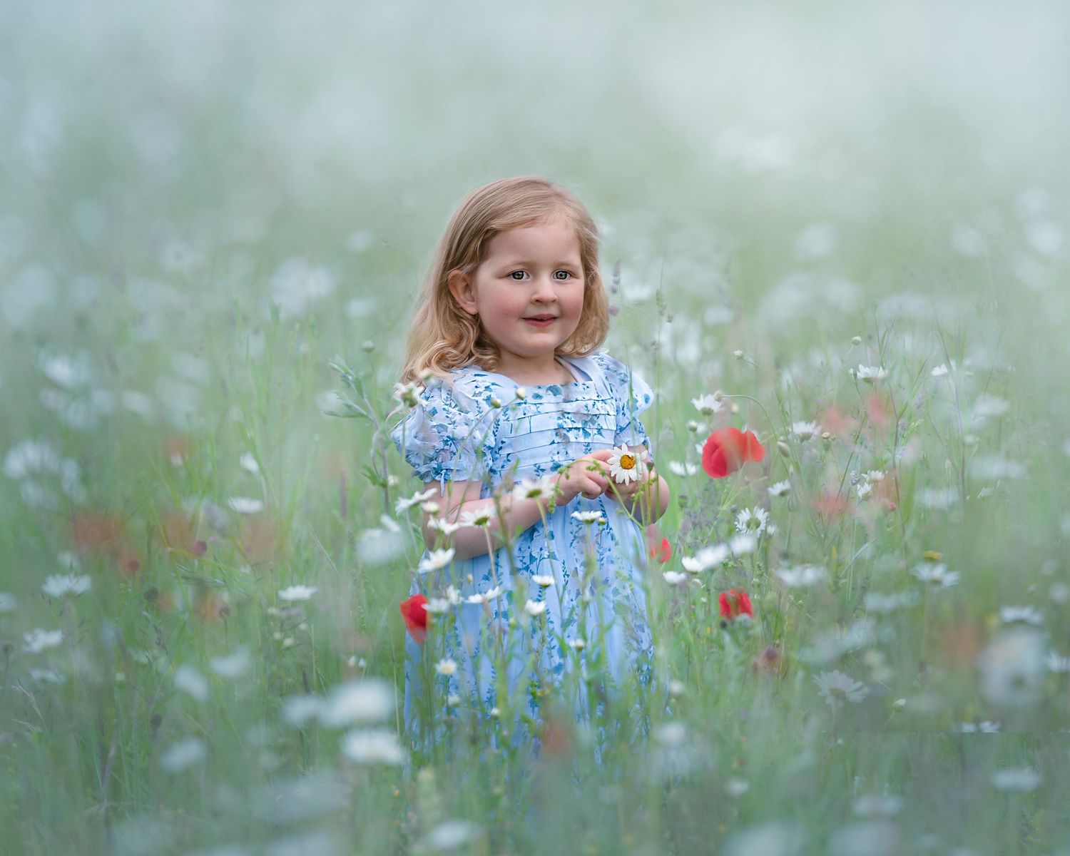 A young girl holds a daisy in a field of wild flowers smiling