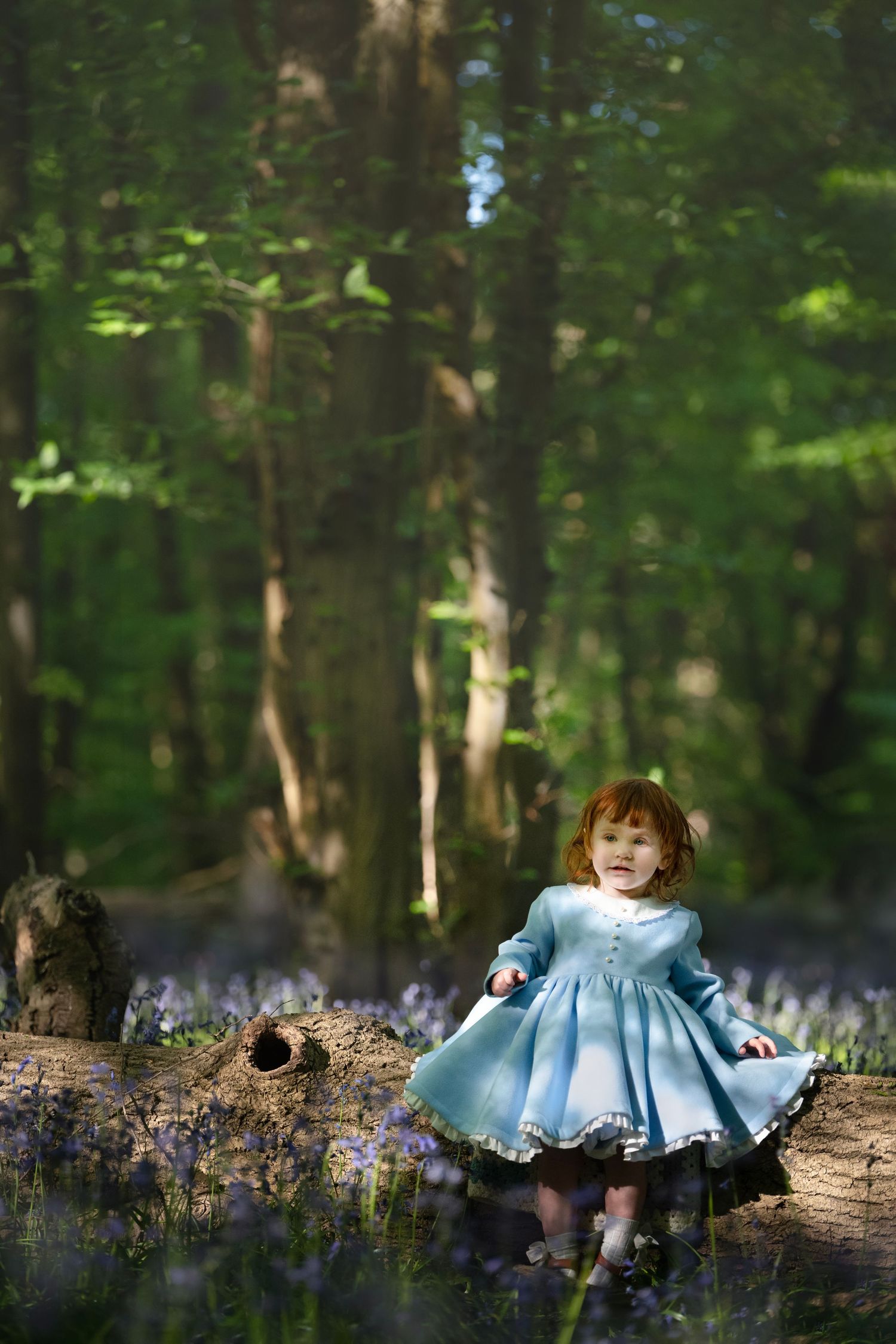A young girl in a blue dress stands on a mossy log in a bluebell forest, surrounded by tall green trees.