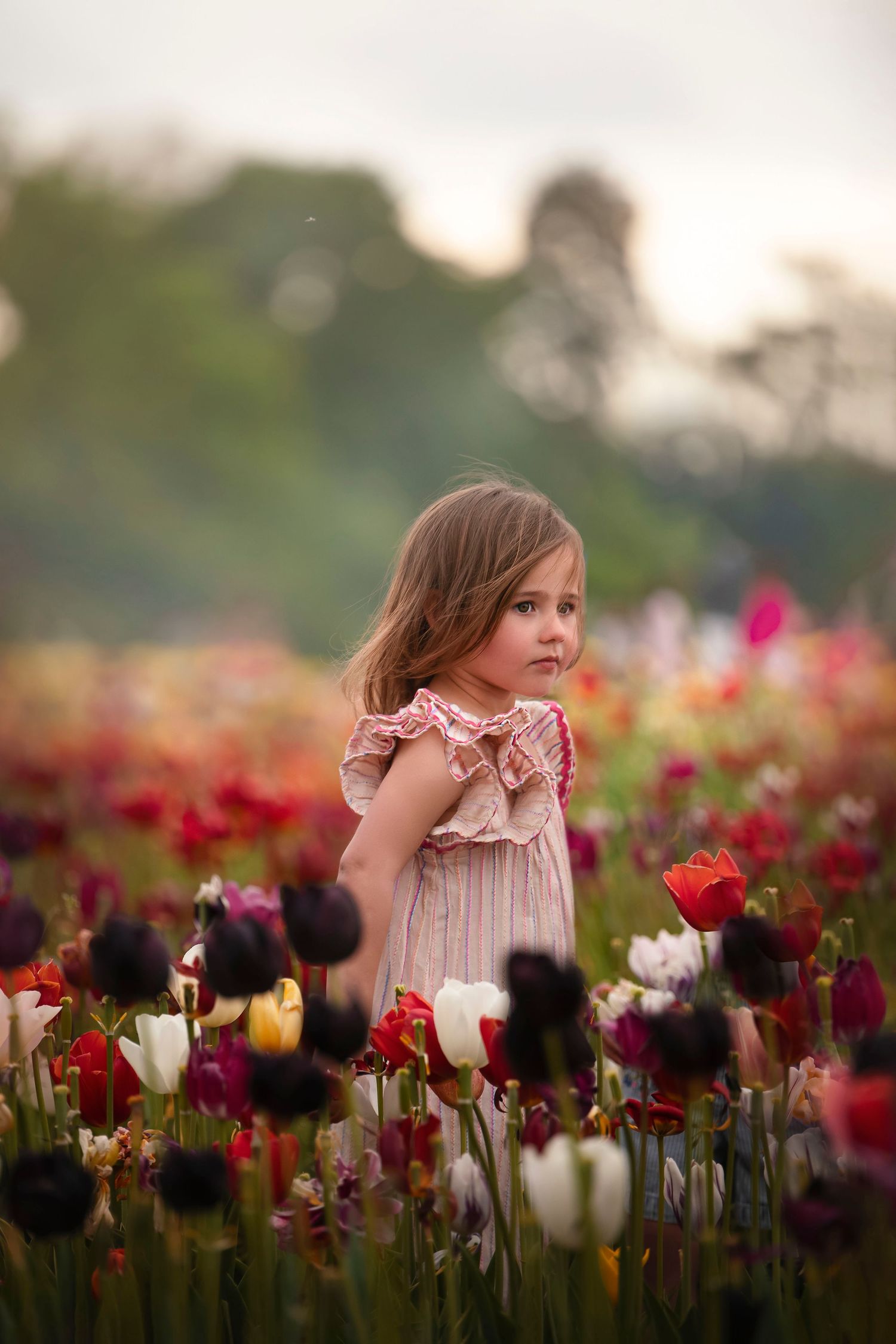 Young girl in pink dress standing among colorful tulips in a blooming flower field at sunset.