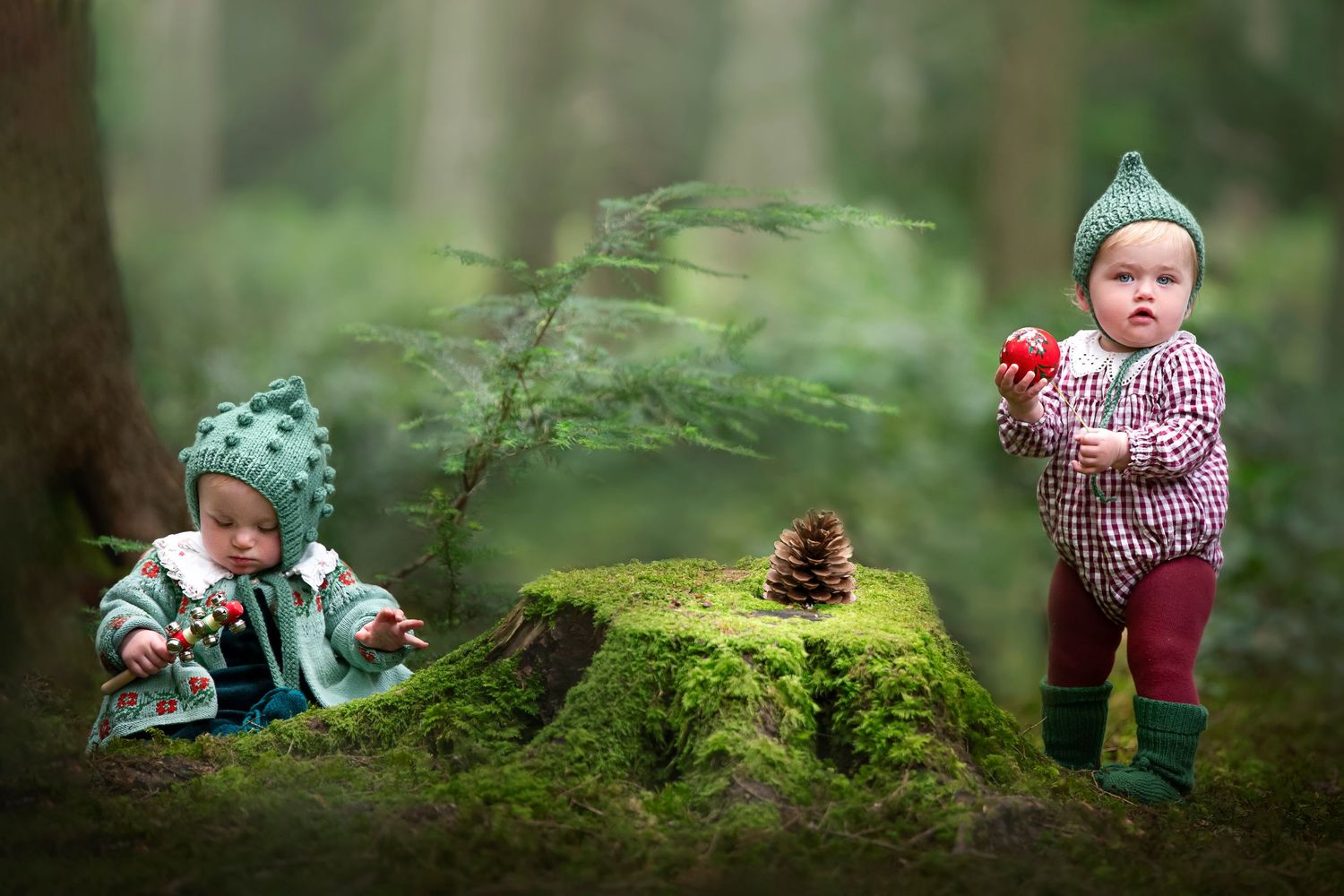 A small child in a plaid shirt explores a mossy forest setting while discovering pinecones on the ground.
