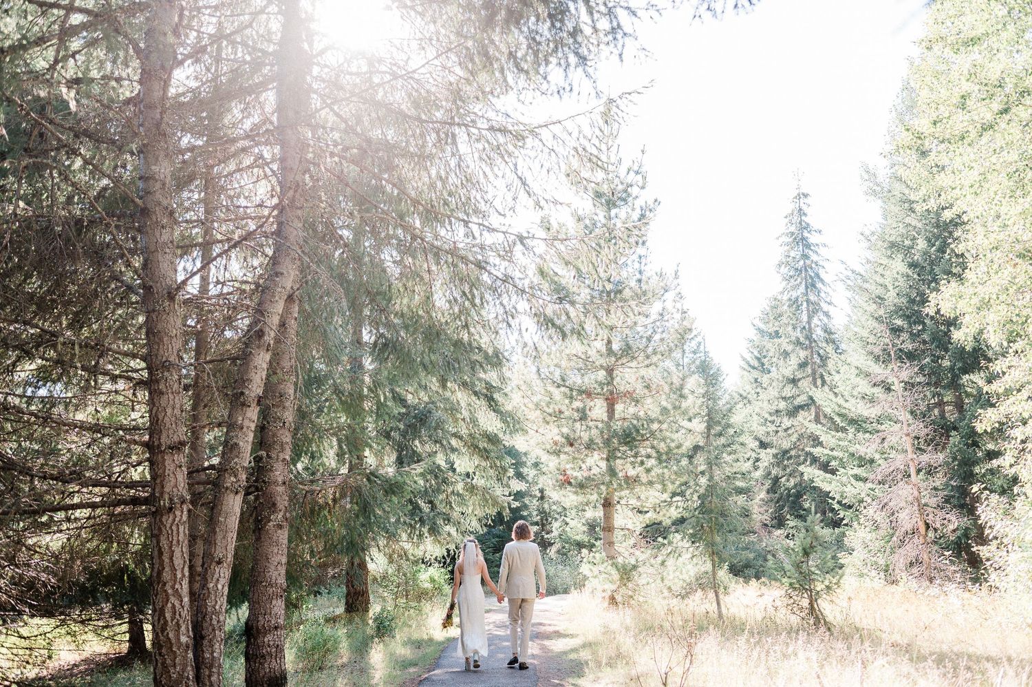 Bride and groom walk a scenic path through a tranquil forest with tall evergreen trees and dappled sunlight filtering through the canopy.
