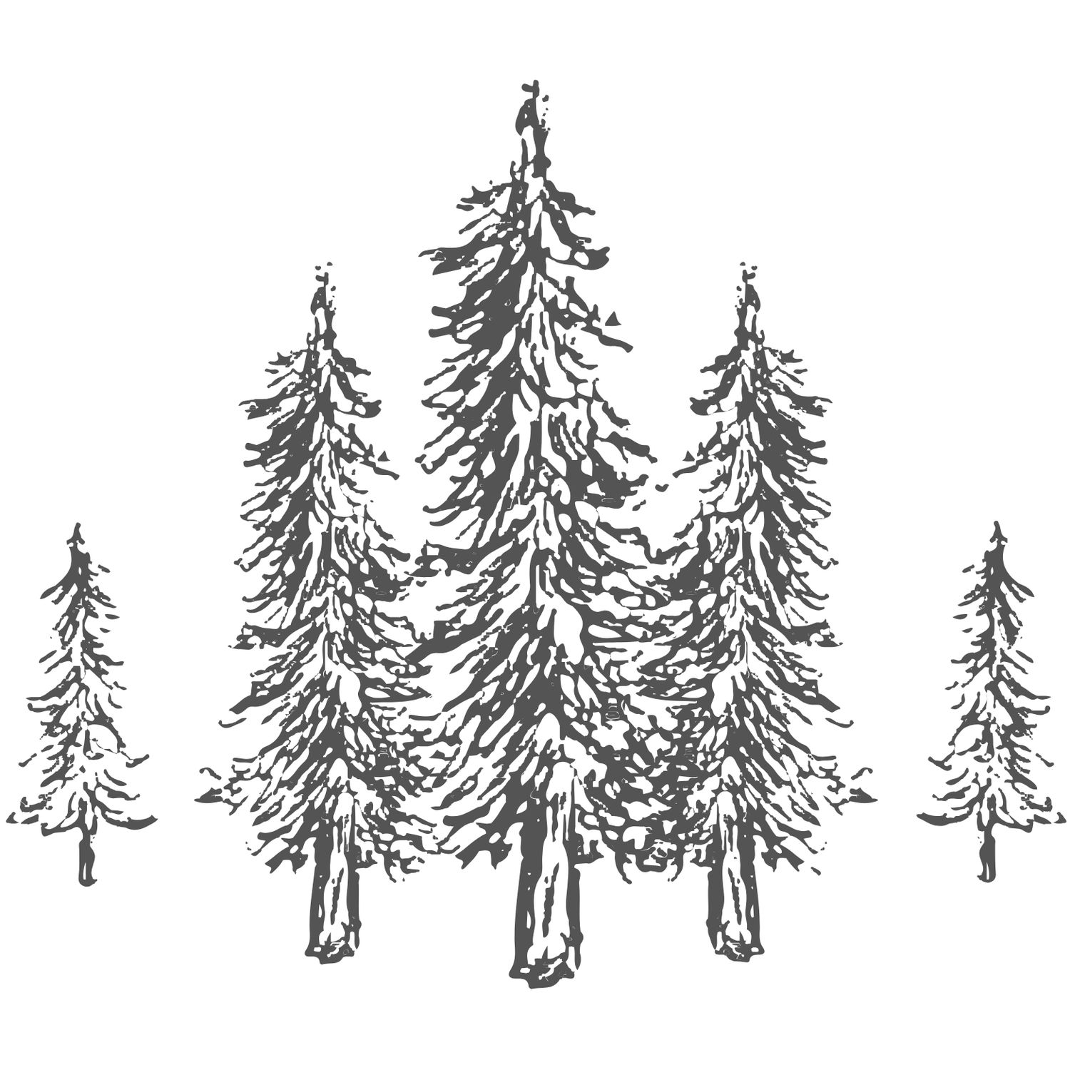 Pine + Vow tree logo