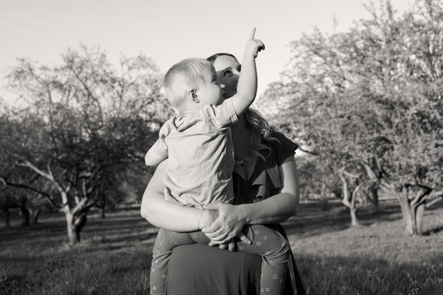 Black and white sequence of a couple embracing in an orchard setting.