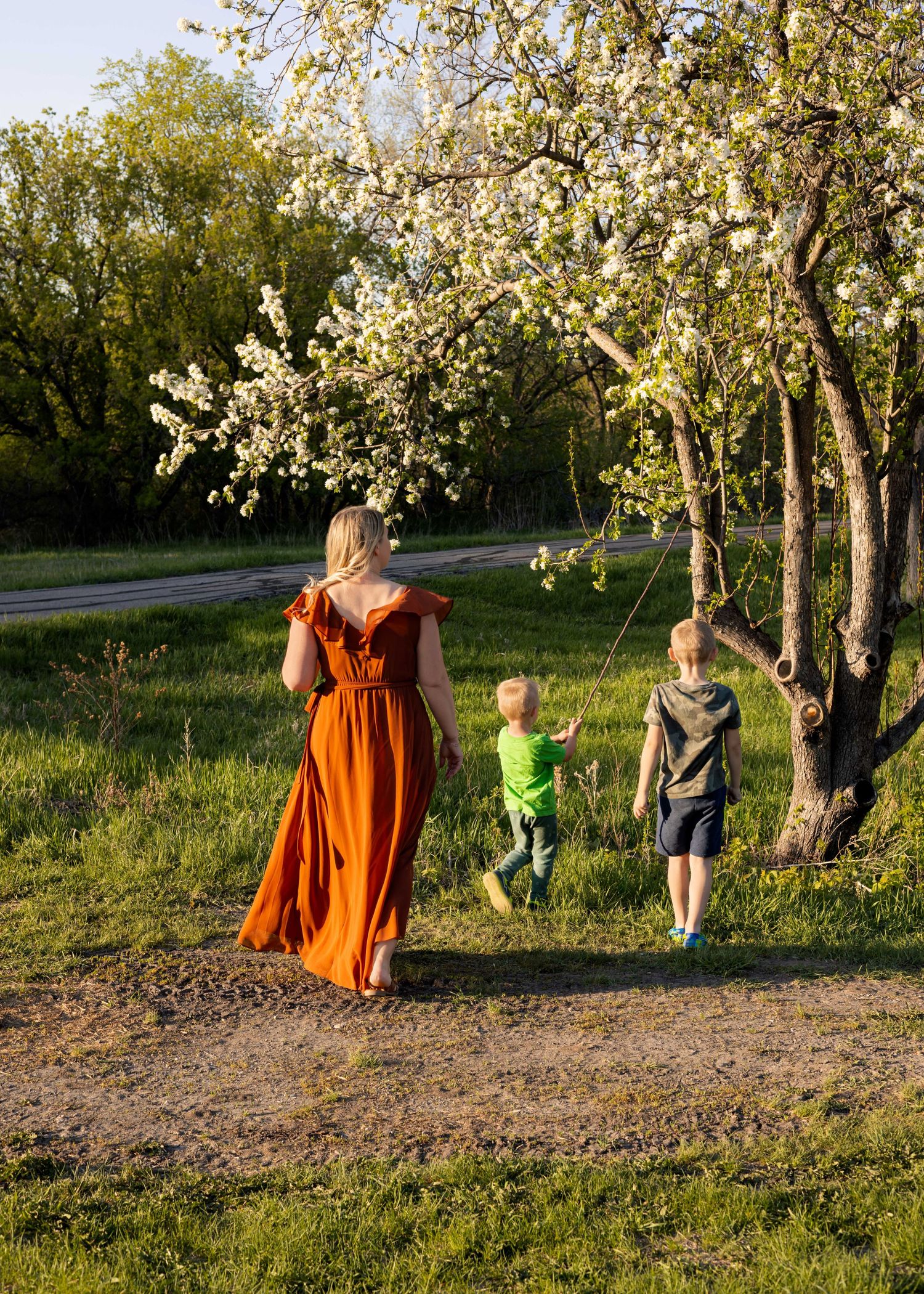 Family walks along blooming spring tree path during golden hour sunset.