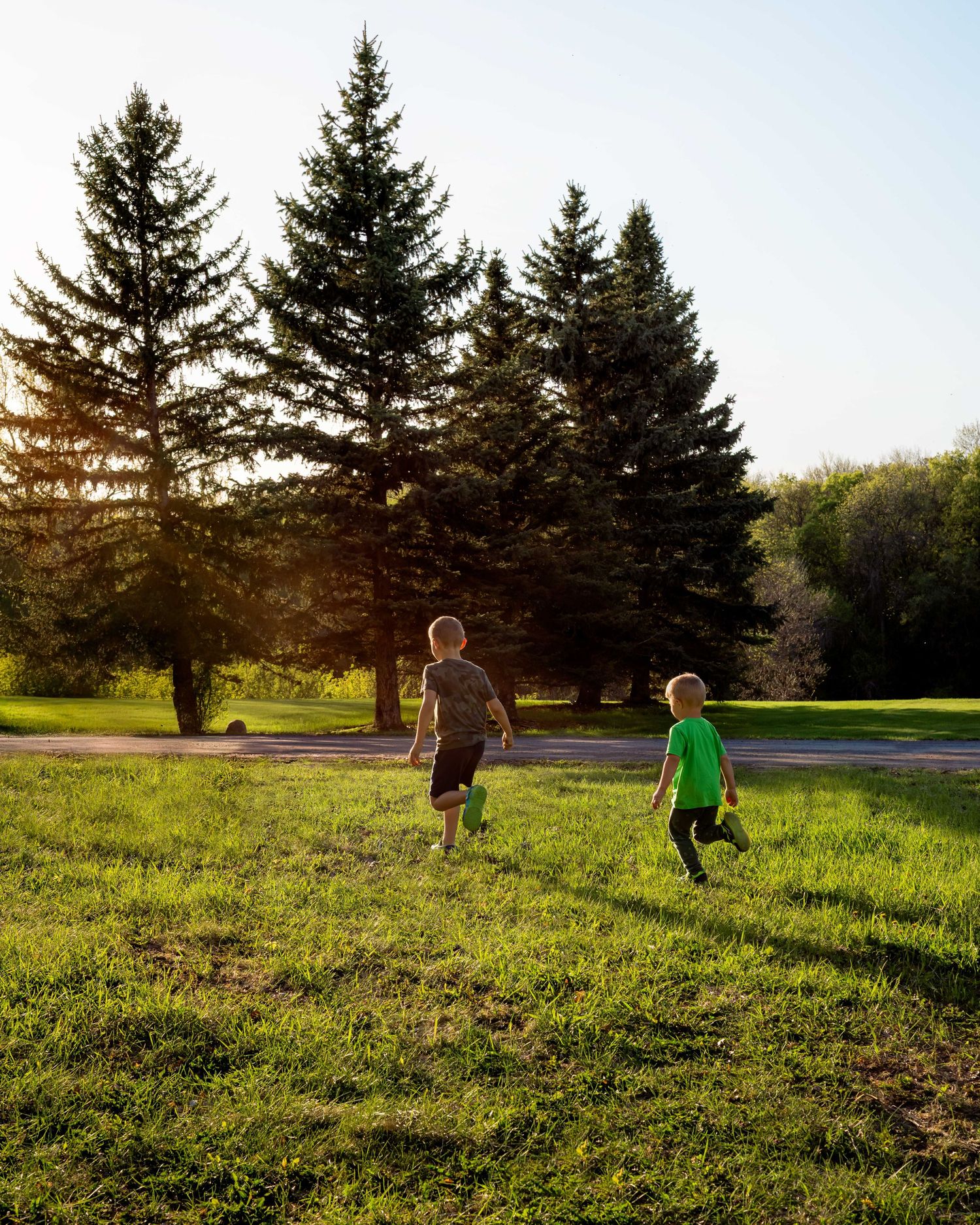 People running and playing in a grassy field with evergreen trees during sunset.