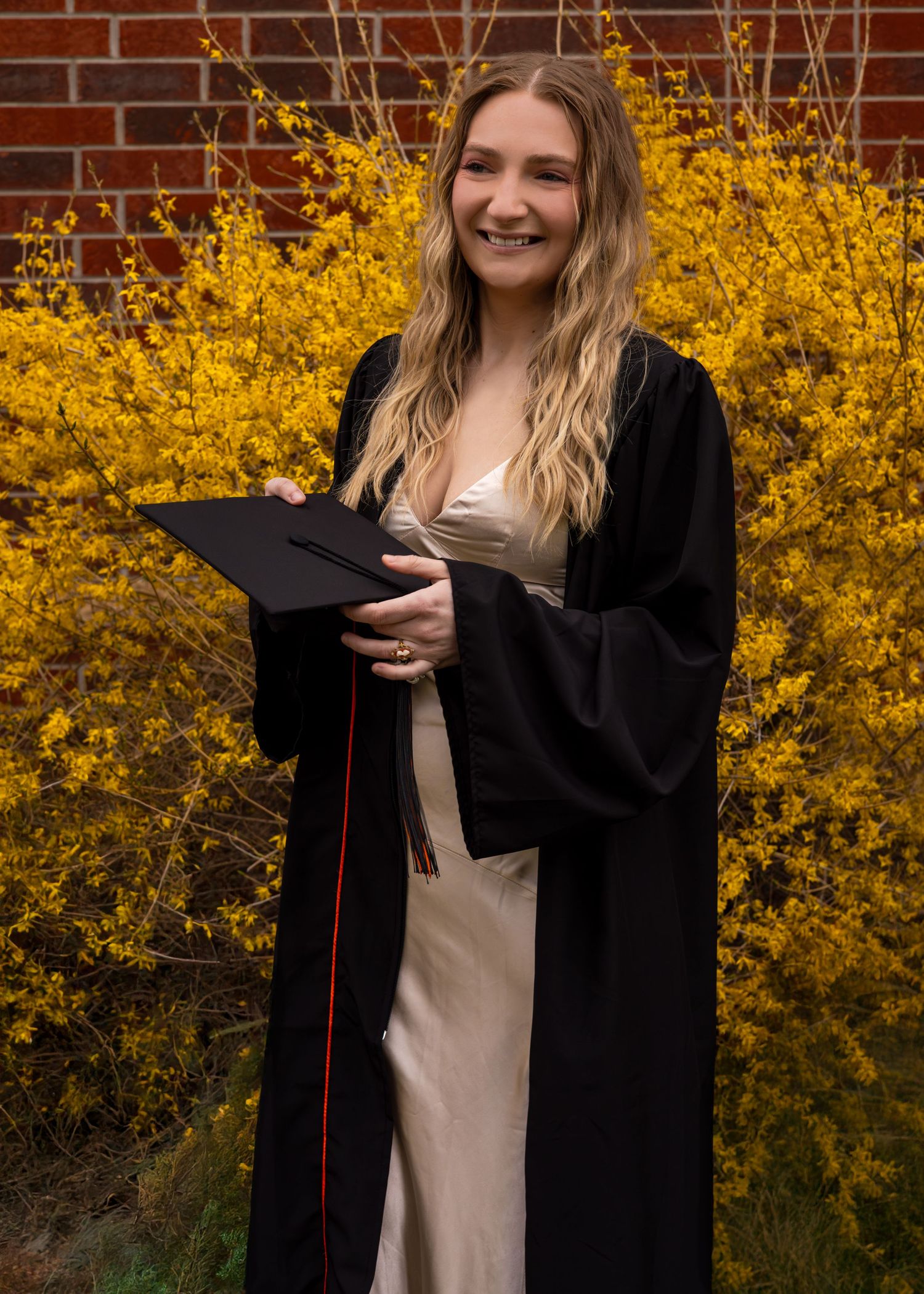 Graduate in black cap and gown poses against yellow forsythia bushes and brick wall.
