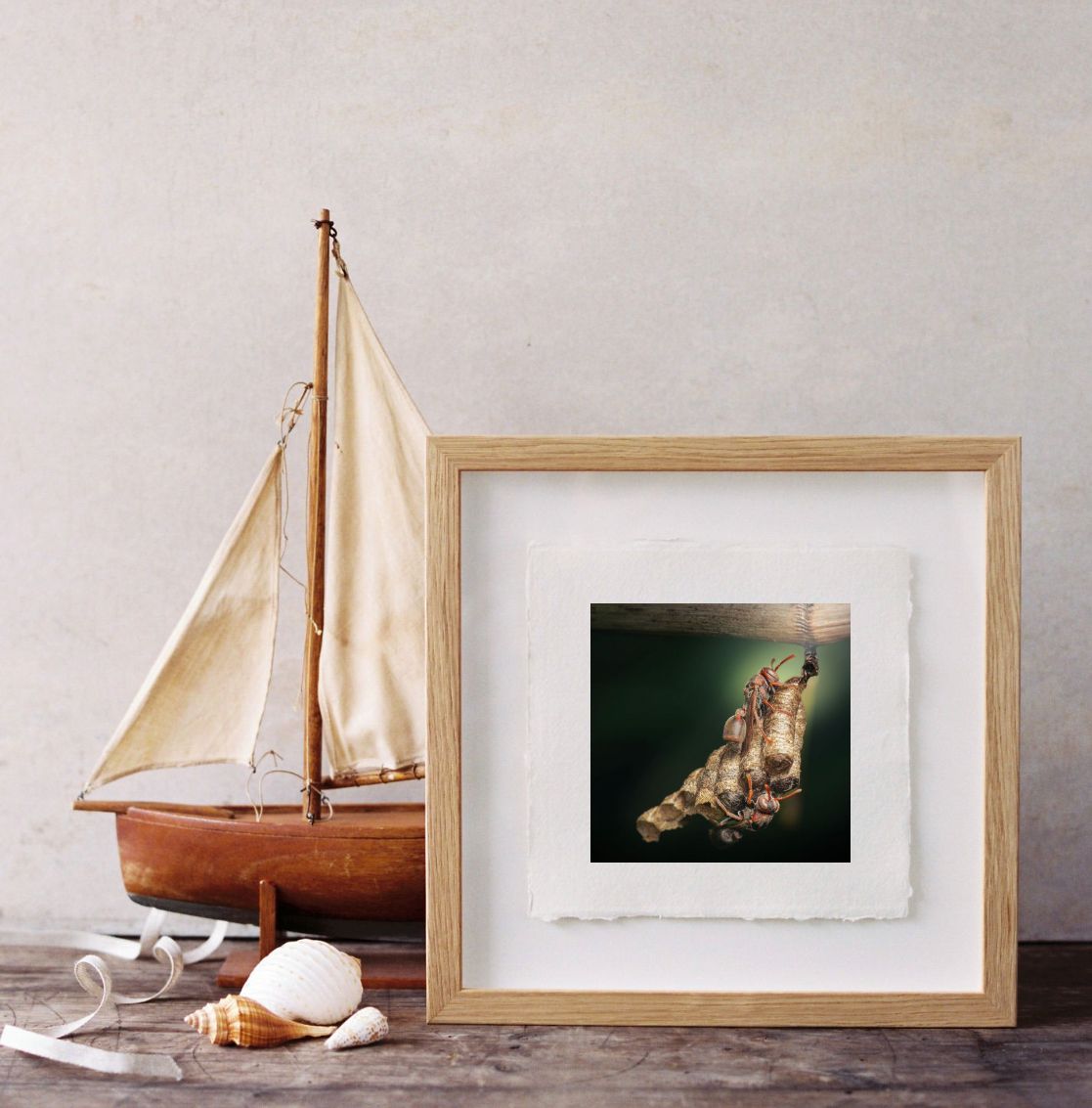 Framed underwater photo print displayed beside a wooden sailboat model and seashell on a rustic wooden surface.
