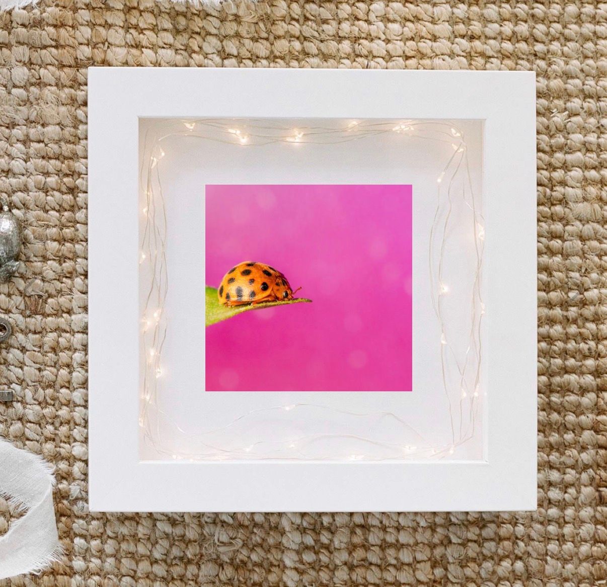 A framed photo of a ladybug on a pink background displayed in a white shadow box frame with fairy lights on a woven mat.