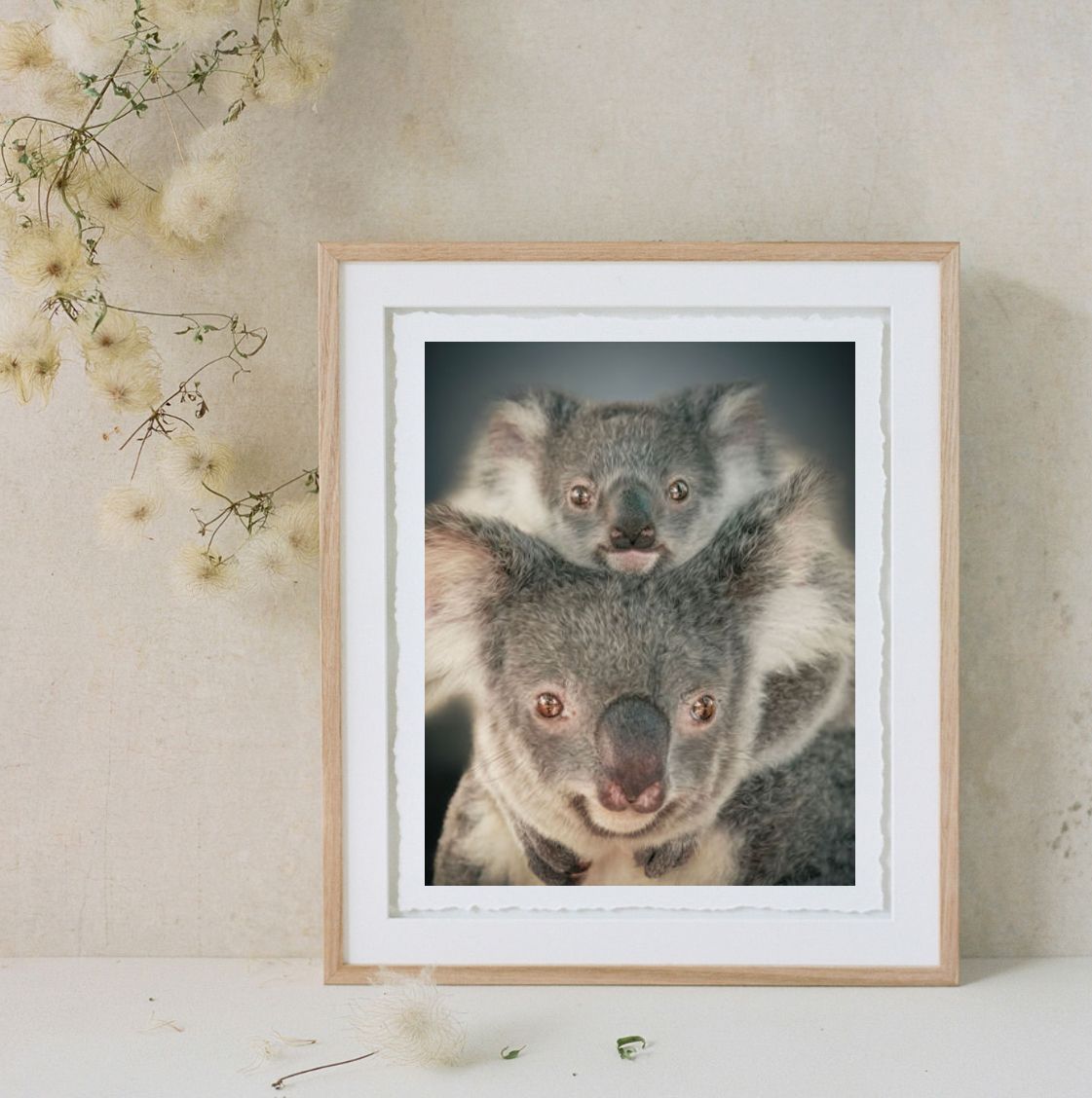 Framed print of two koalas, one riding on the other's back, displayed in a wooden frame on a neutral background.