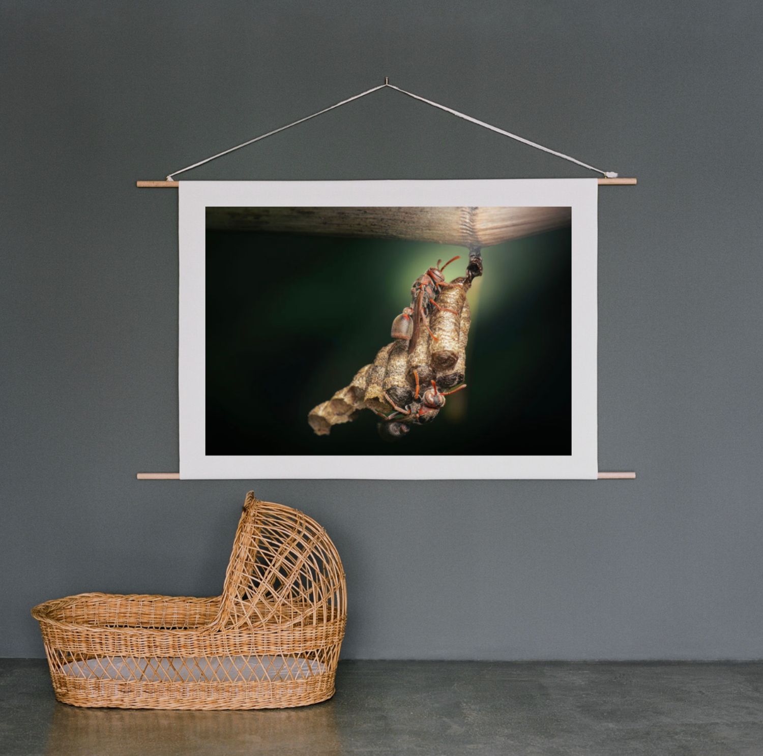 A chrysalis hanging from a branch, displayed as wall art above a wicker bassinet in a moody gray room.