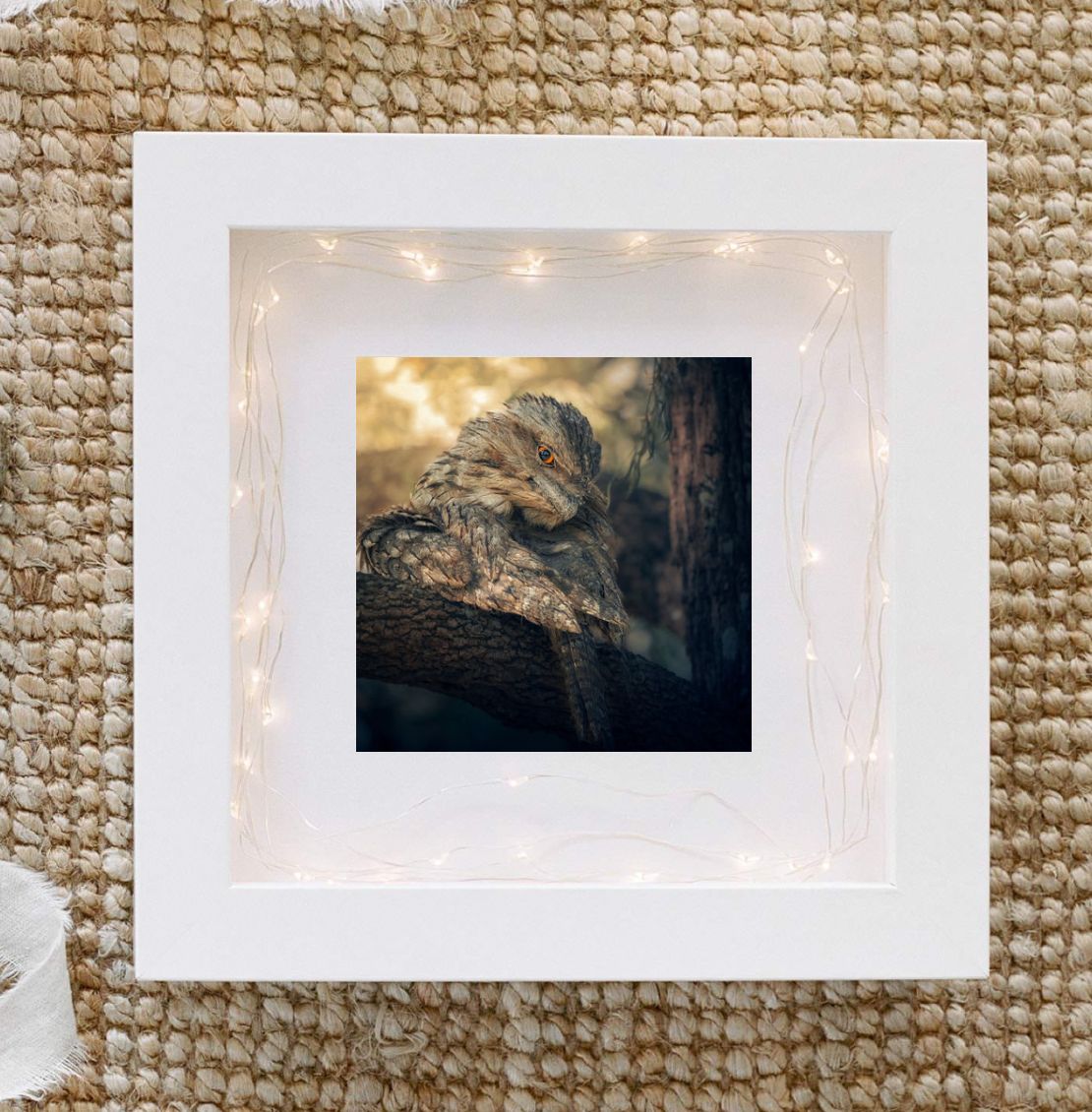 Framed photo of a tawny frogmouth owl resting on a branch, displayed in a white shadow box frame with fairy lights.