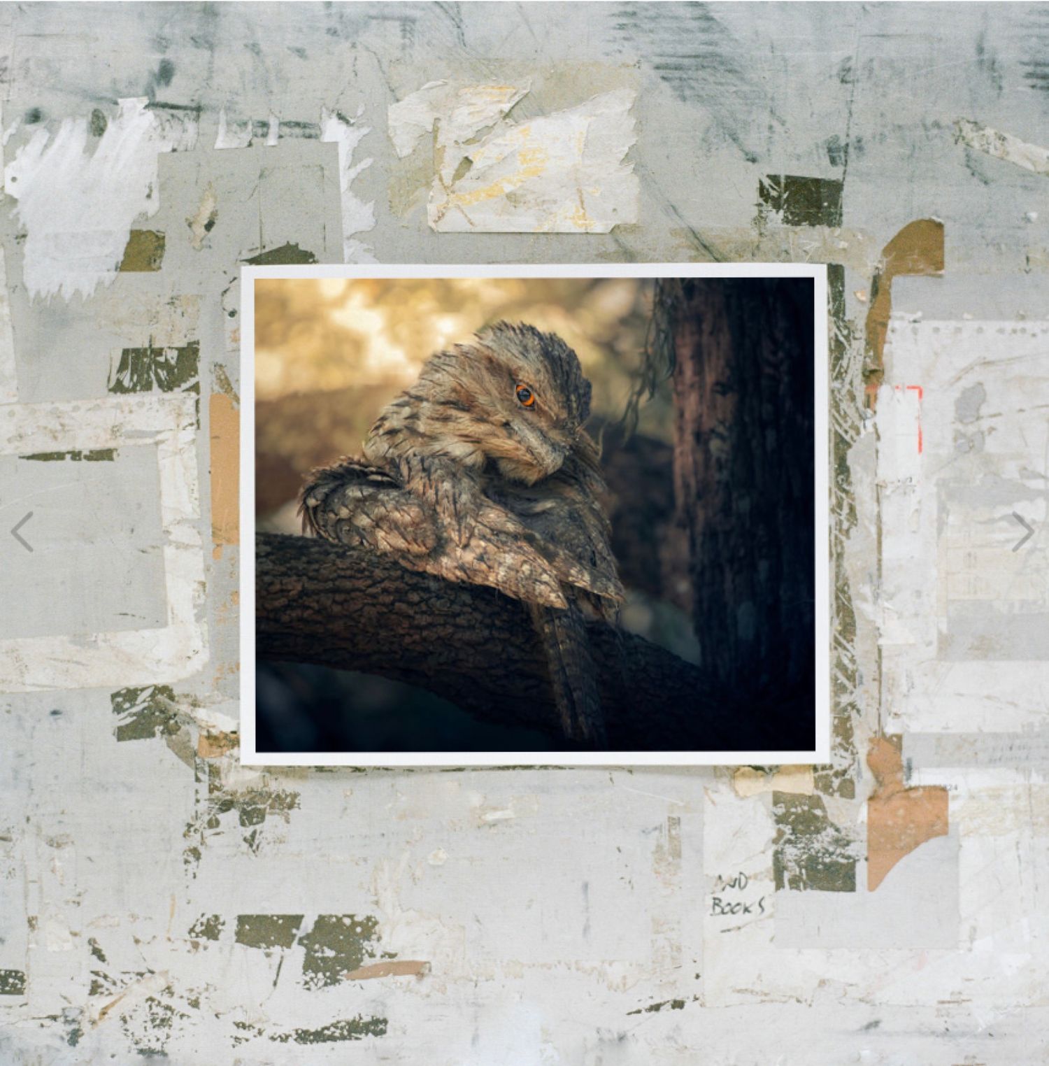 A camouflaged bird perches on a tree branch, blending seamlessly with bark textures, mounted on a collaged paper background.
