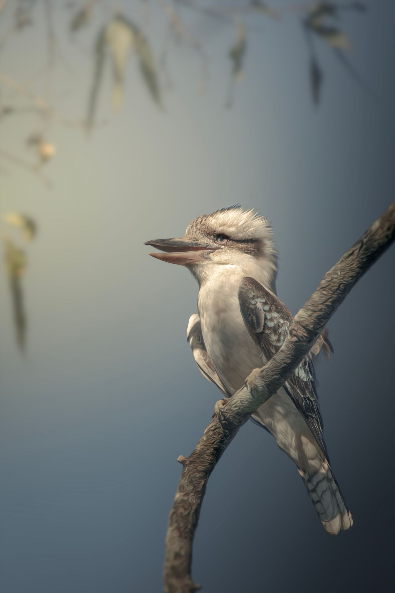 A kookaburra perched on a branch with soft blue background and eucalyptus leaves, showcasing its distinctive large beak.