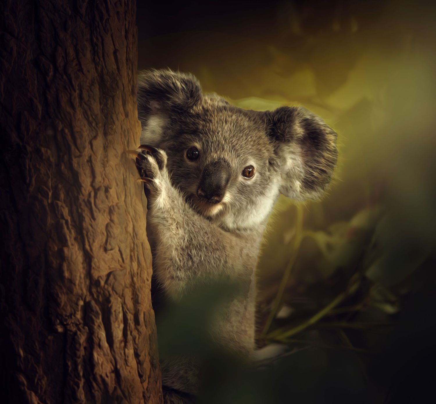 A cute koala clinging to a rough tree trunk, peering curiously with soft bokeh background.