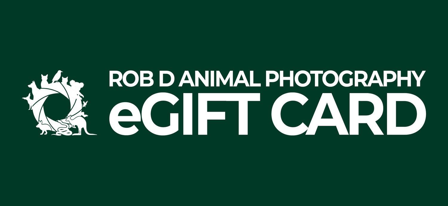 Rob D Animal Photography eGift Card on a dark green background with a circular animal logo.