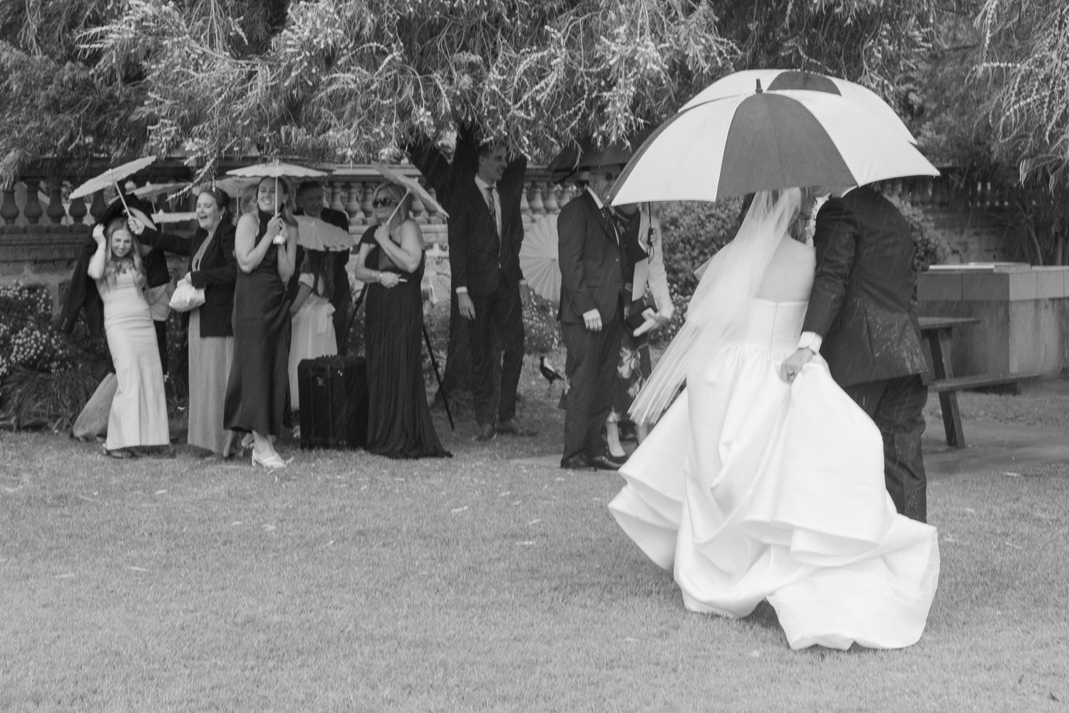 A wedding party gathers outdoors while a couple under a white umbrella stands apart in black and white photography.
