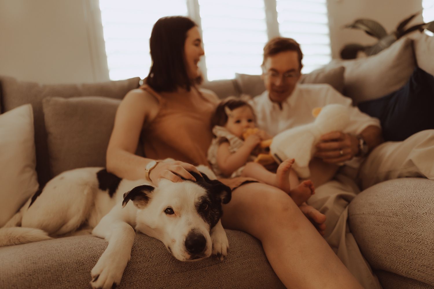 Cozy indoor photo session with white dogs lounging on plush furniture.