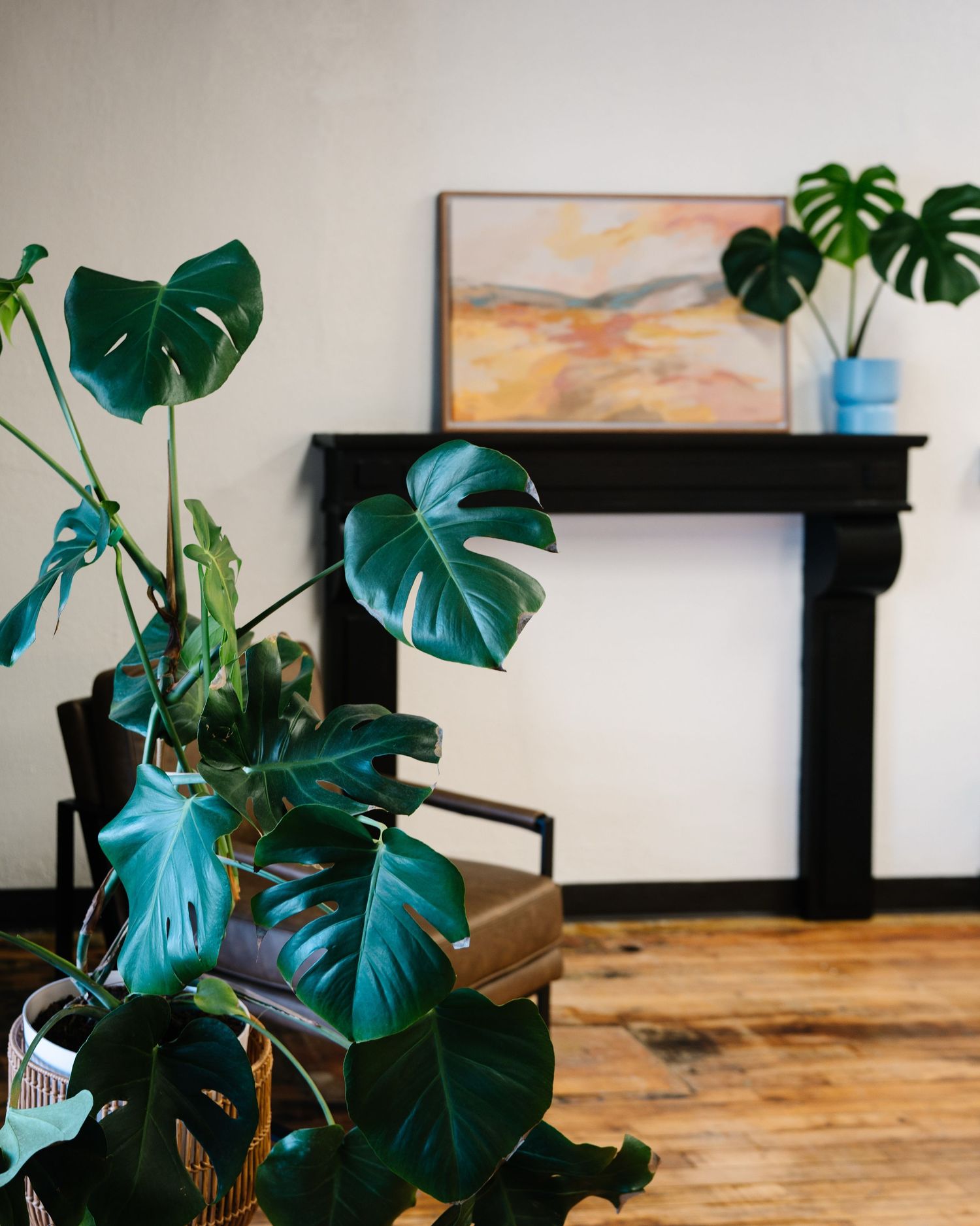 Modern art gallery interior with hardwood floors, green monstera plants, and framed artwork displayed on white walls.