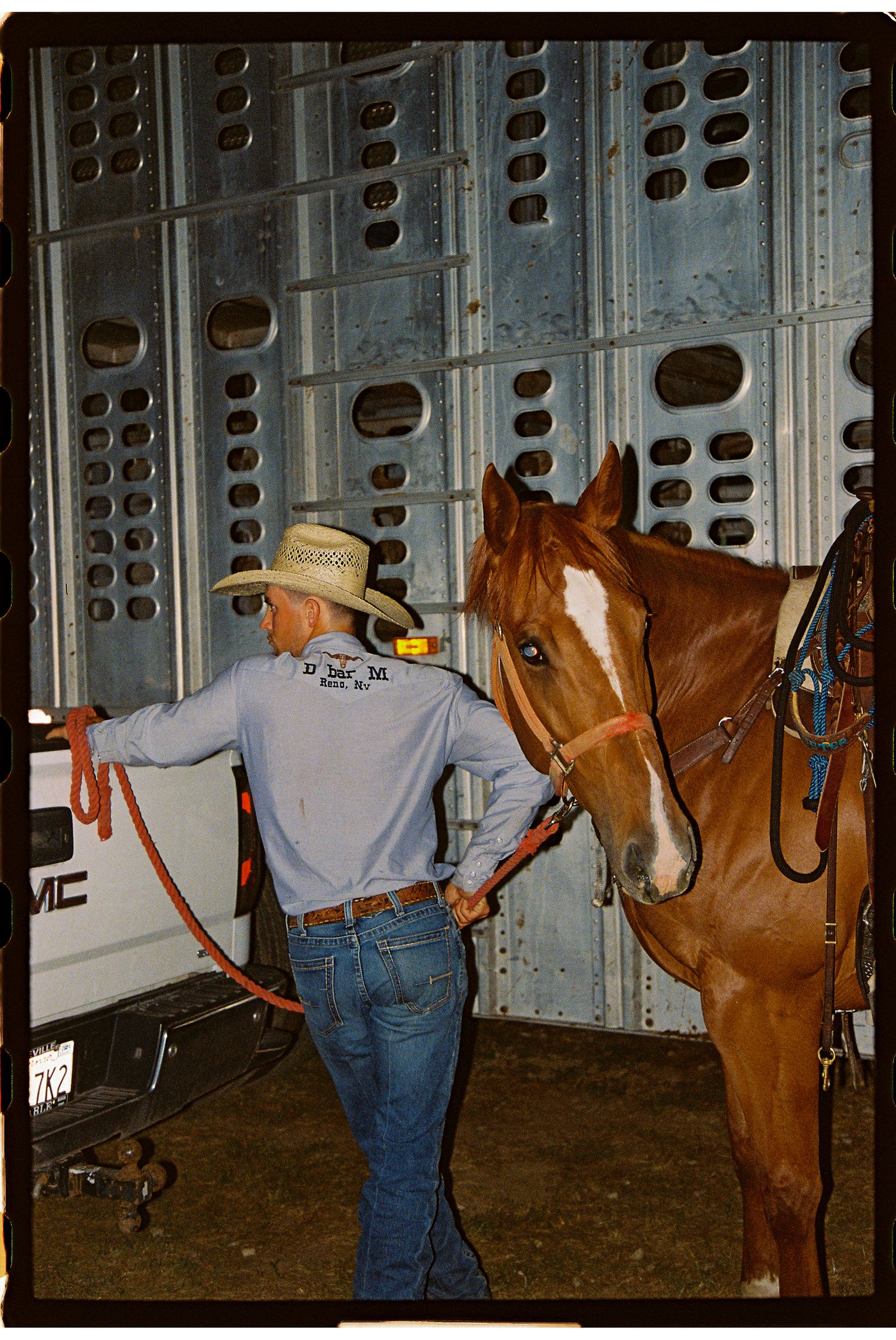 A cowboy and his trusted horse