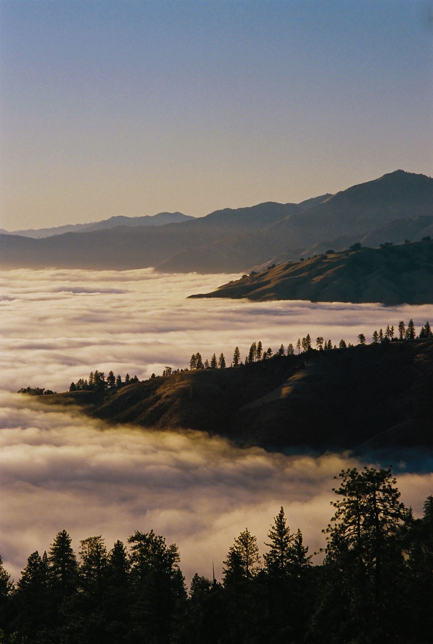Big Sur Beaty