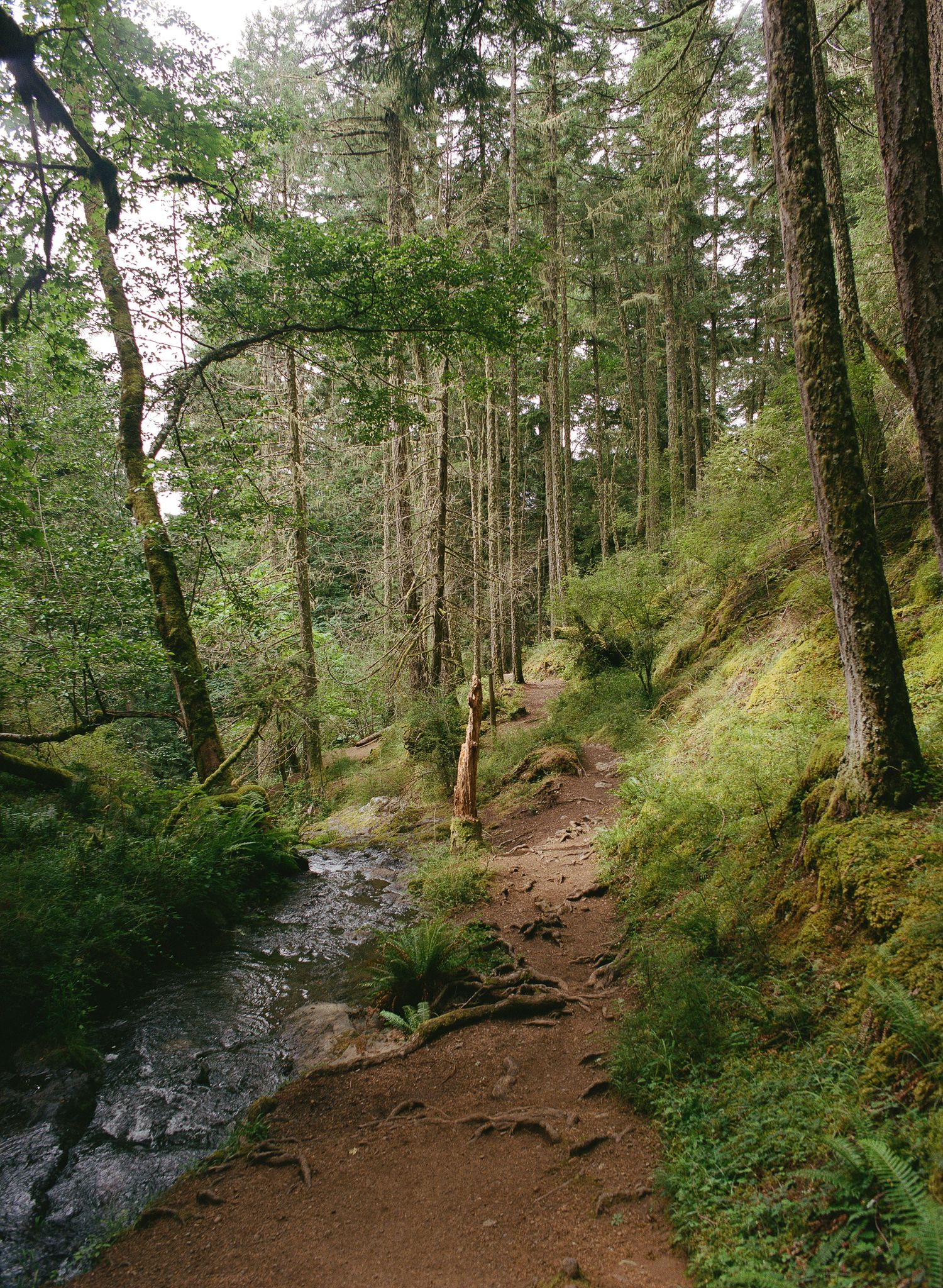 A nice hike in the San Juans