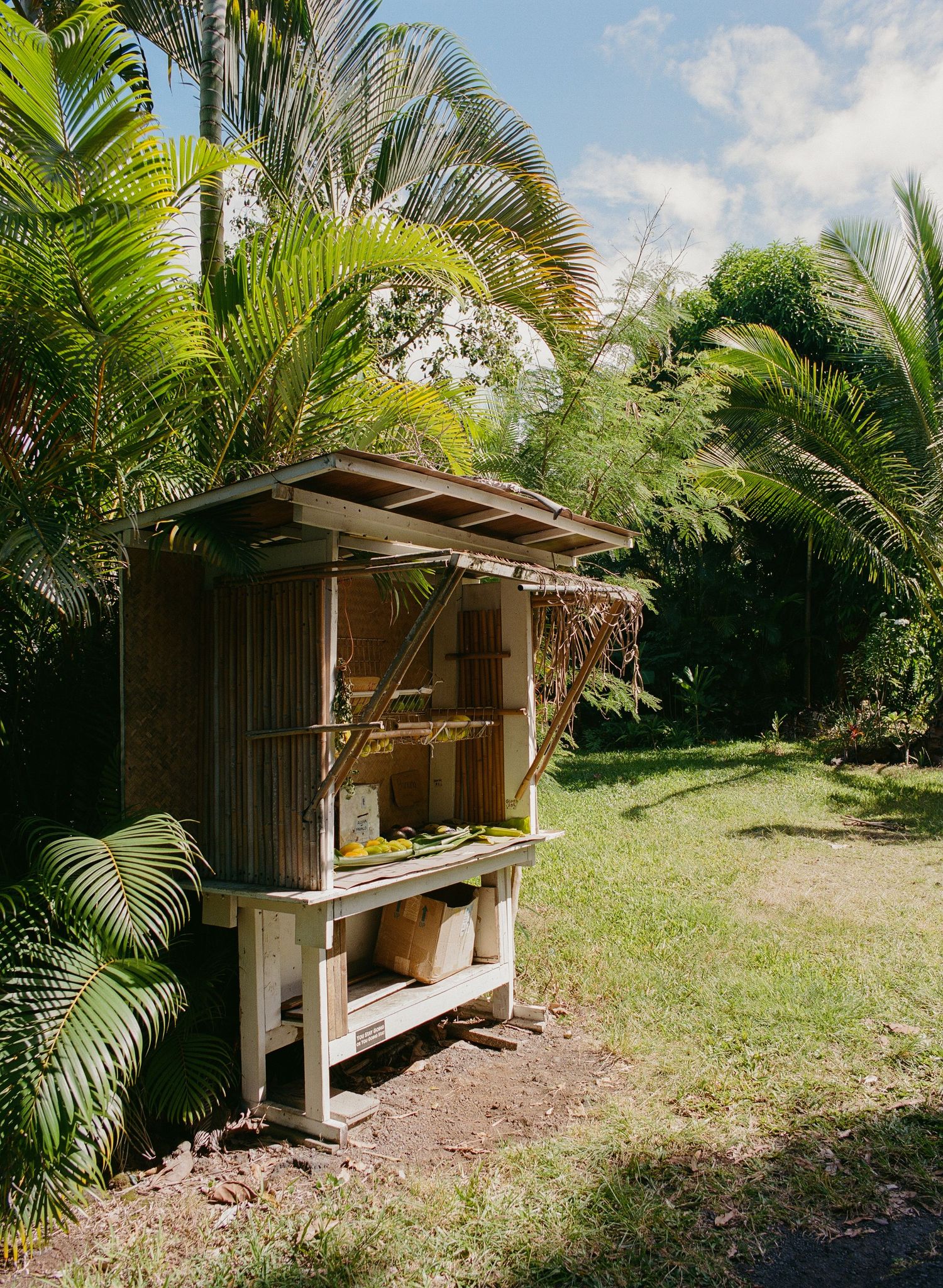 Another frame of a fresh fruit stand in Maui, Hawaii