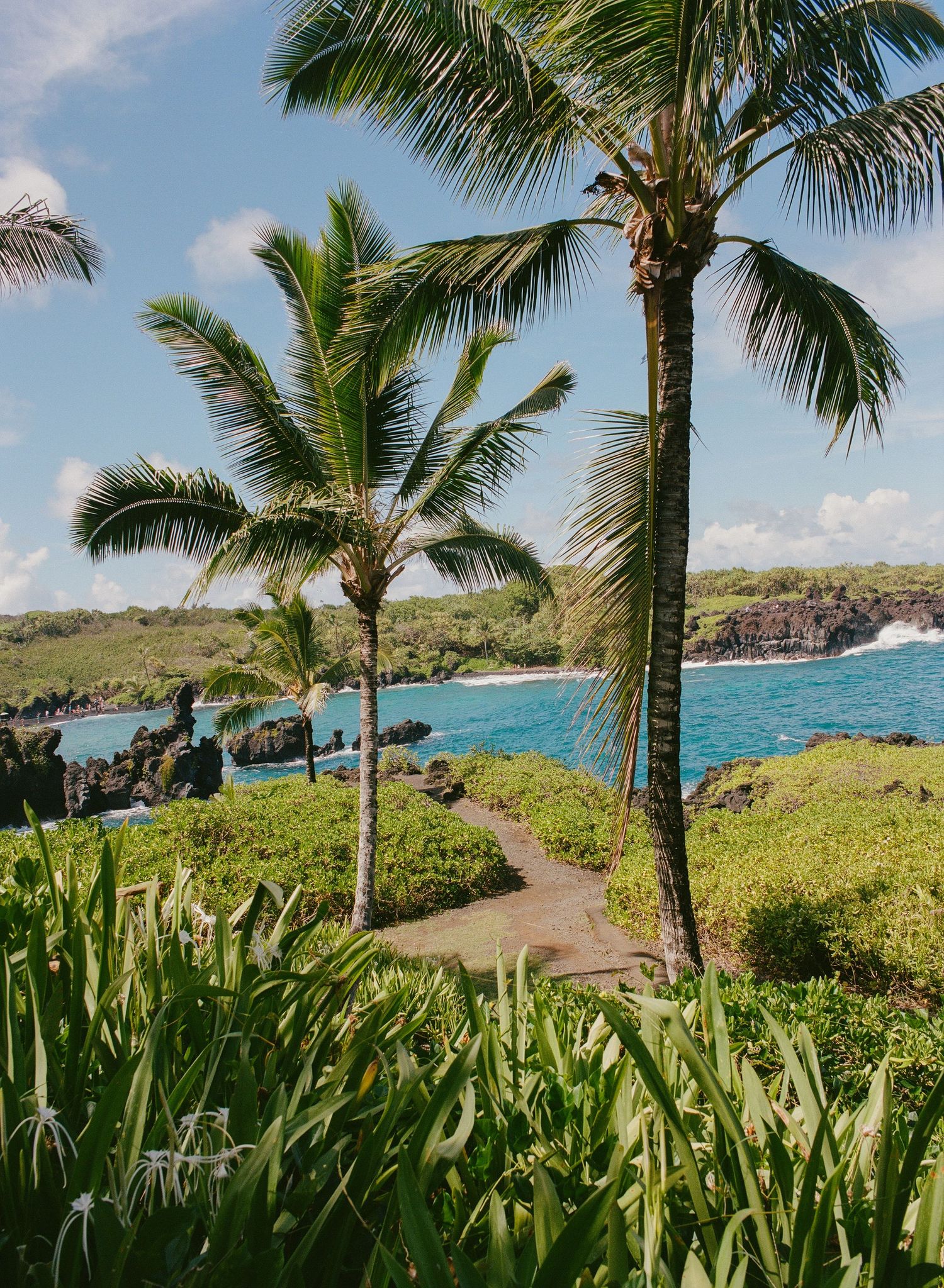 Stunning seashore in Maui, Hawaii