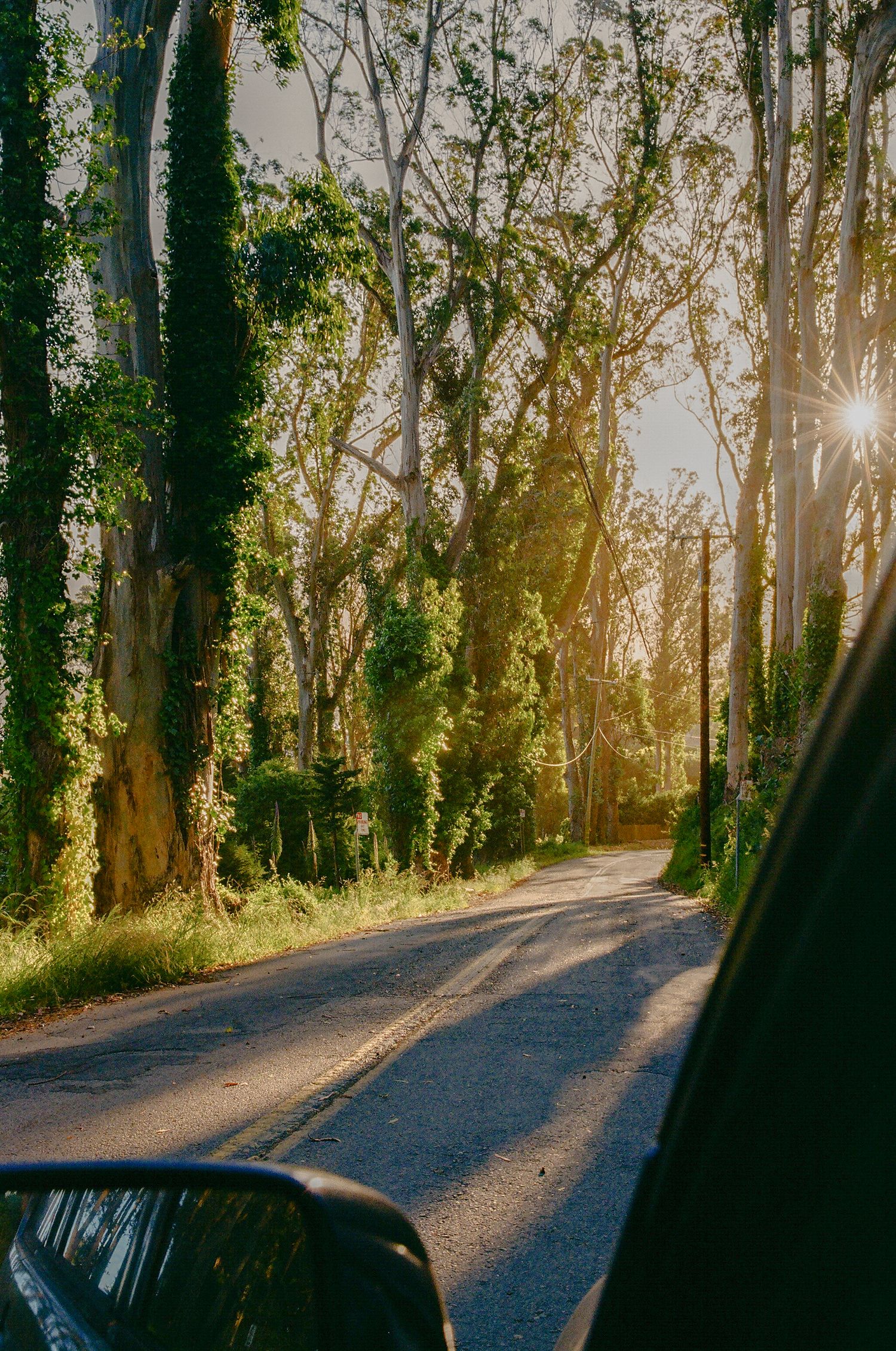 Light streaks in Bolinas, California