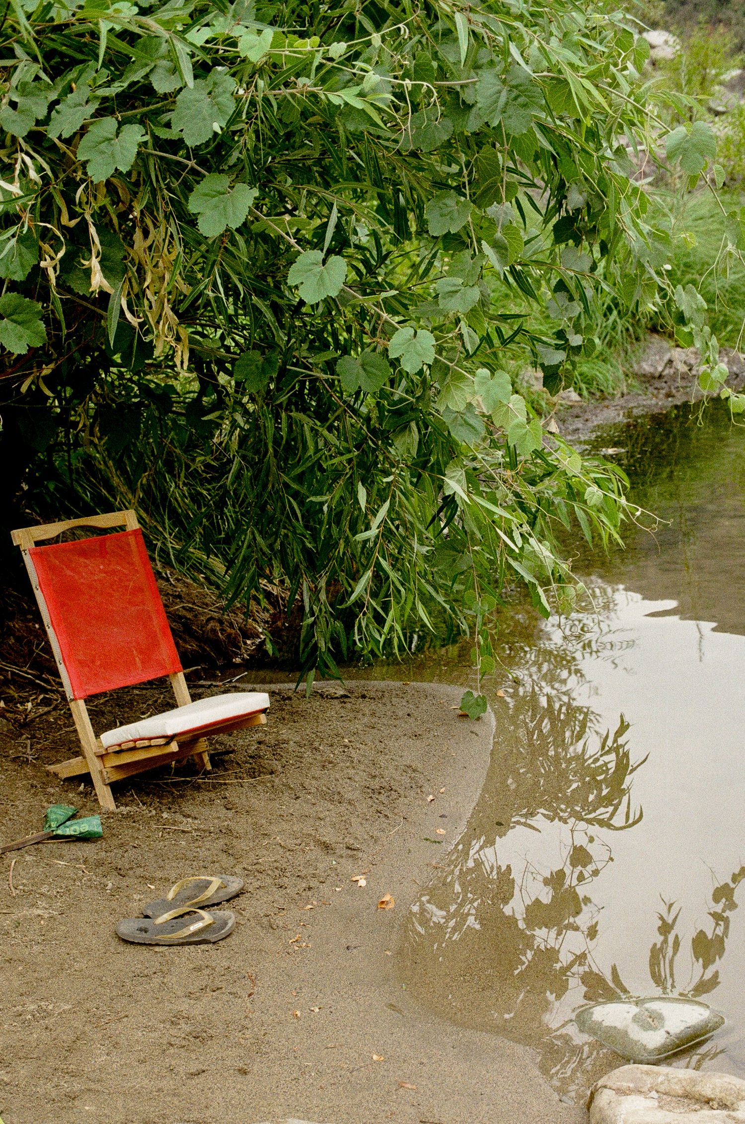 A rainy day on the riverside