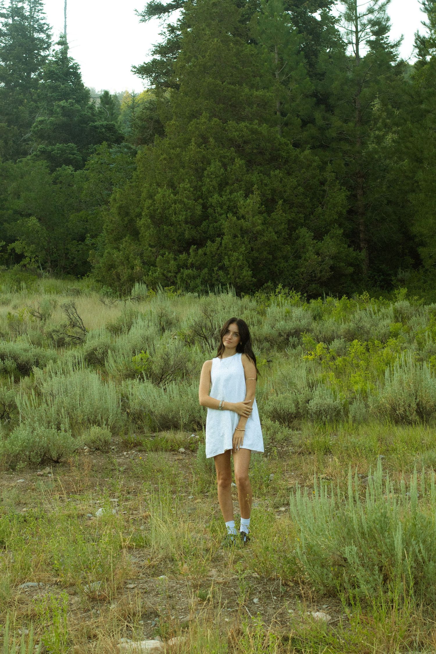 A person stands in a grassy meadow surrounded by evergreen trees and sagebrush on a sunny day.