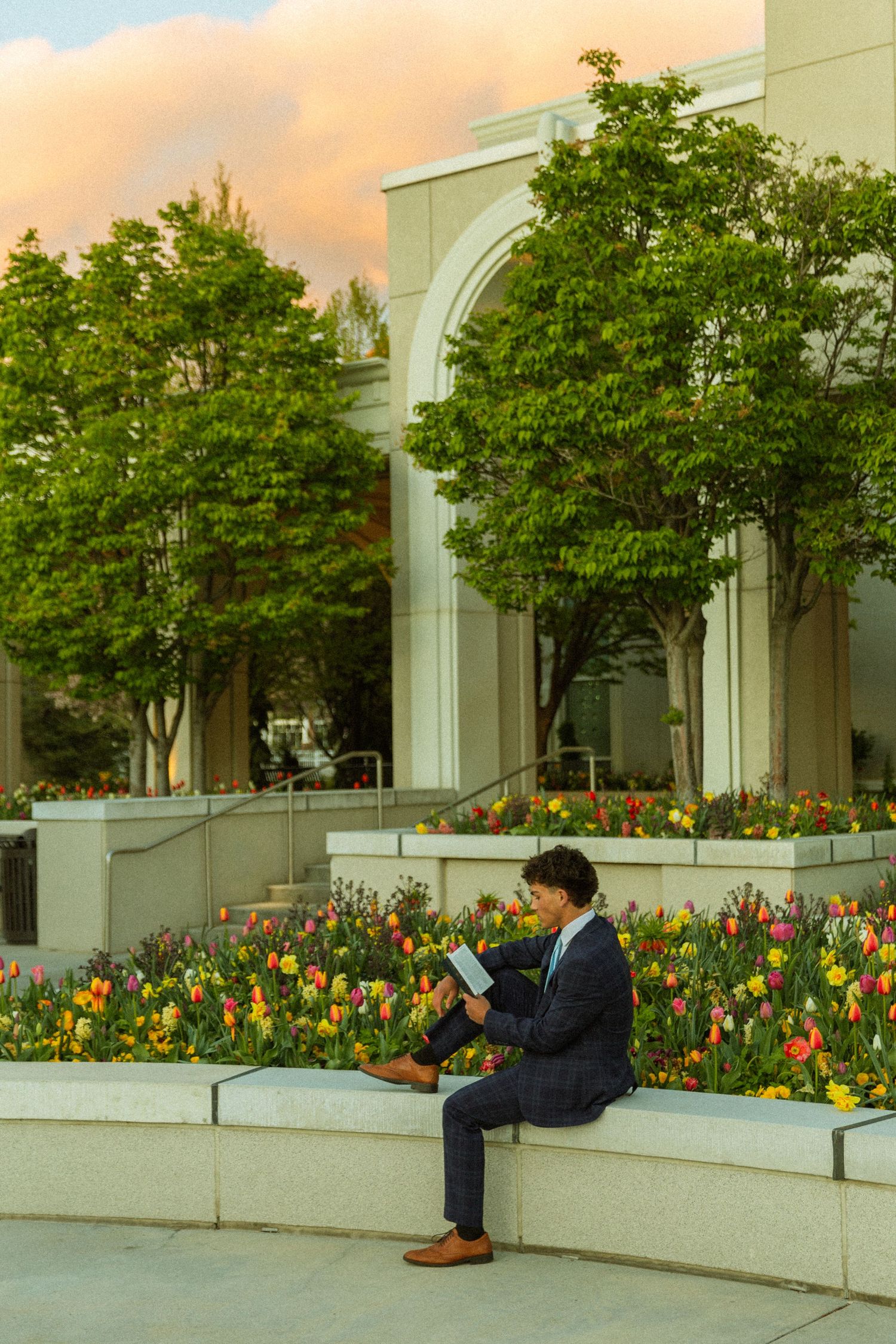 Young man in suit reads book outdoors on stone ledge surrounded by colorful tulips and green trees at sunset.
