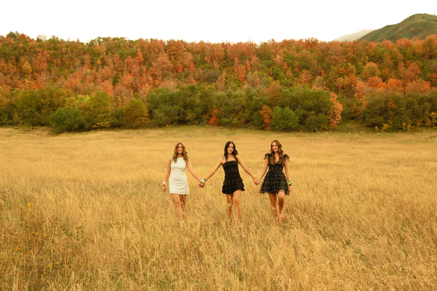 Three people walk through a golden autumn field at sunset holding hands.