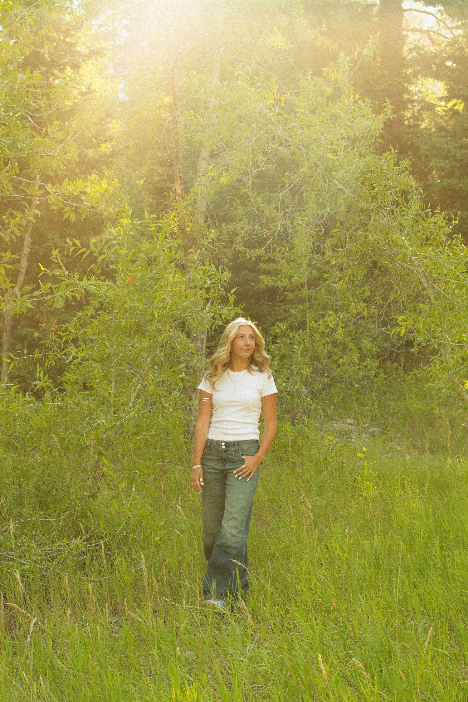 People strolling through a sunlit meadow with lush forest scenery.
