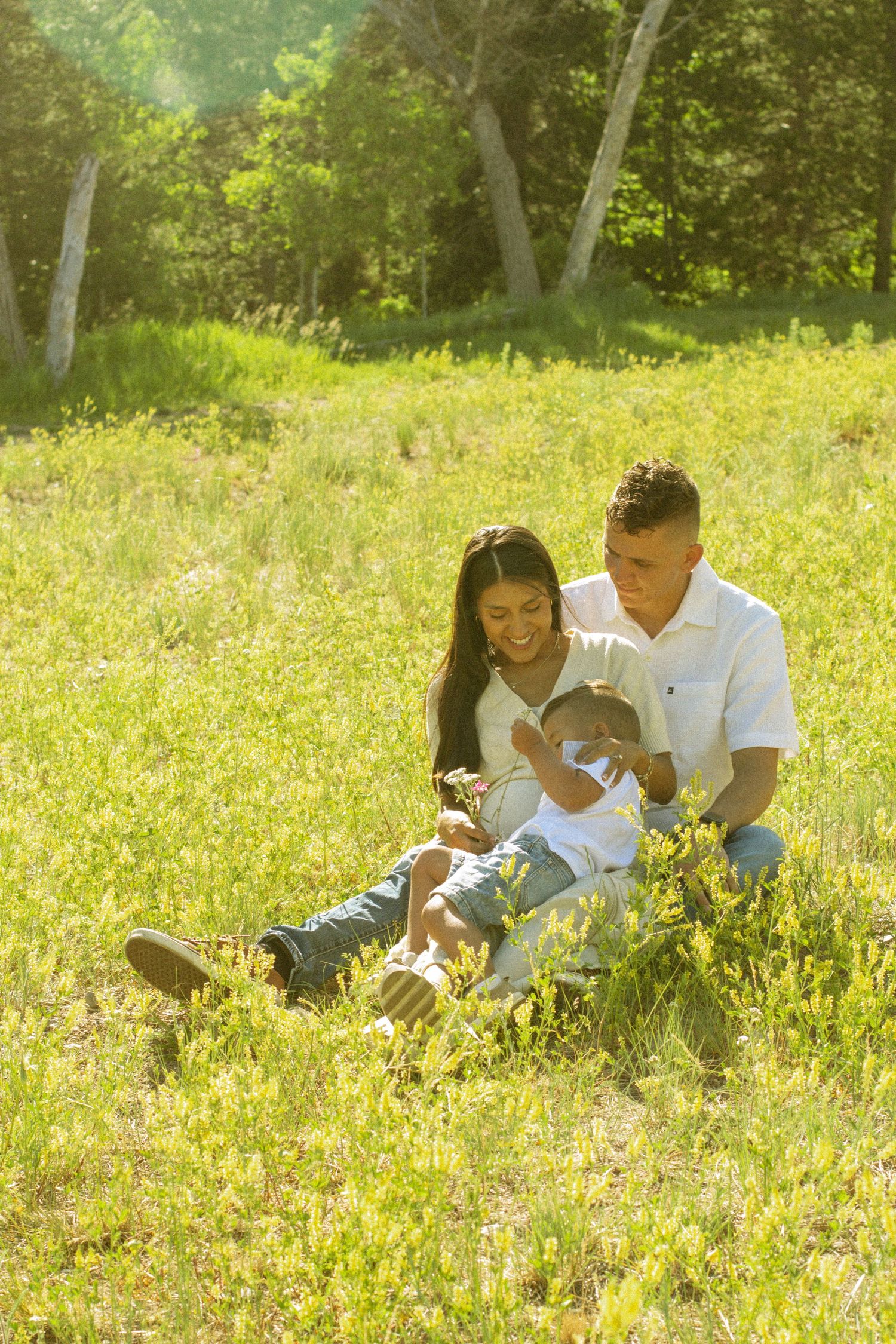 Couple relaxing together on a sunny meadow surrounded by trees in a romantic outdoor setting.