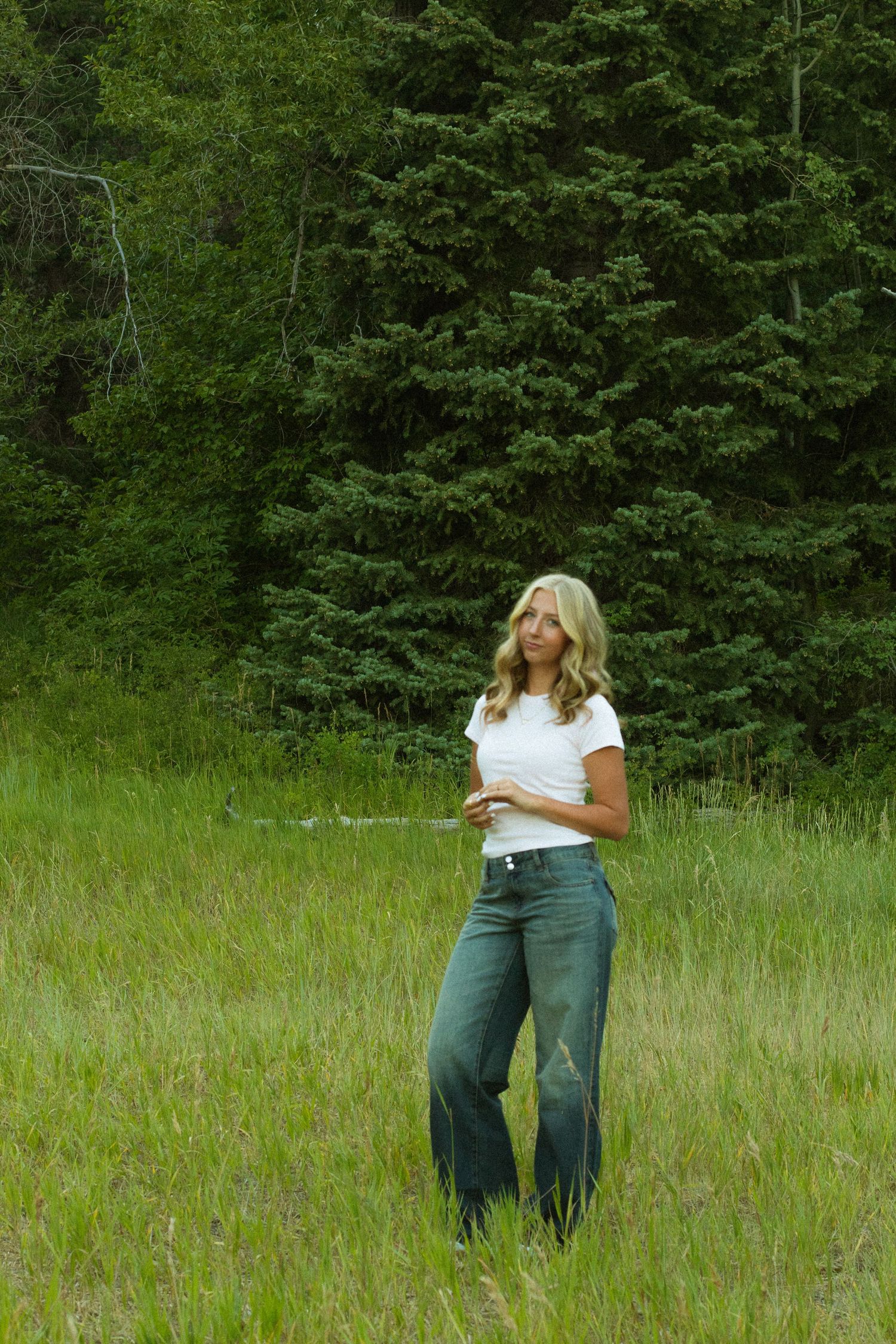 People embracing in a sunlit meadow surrounded by evergreen forest.