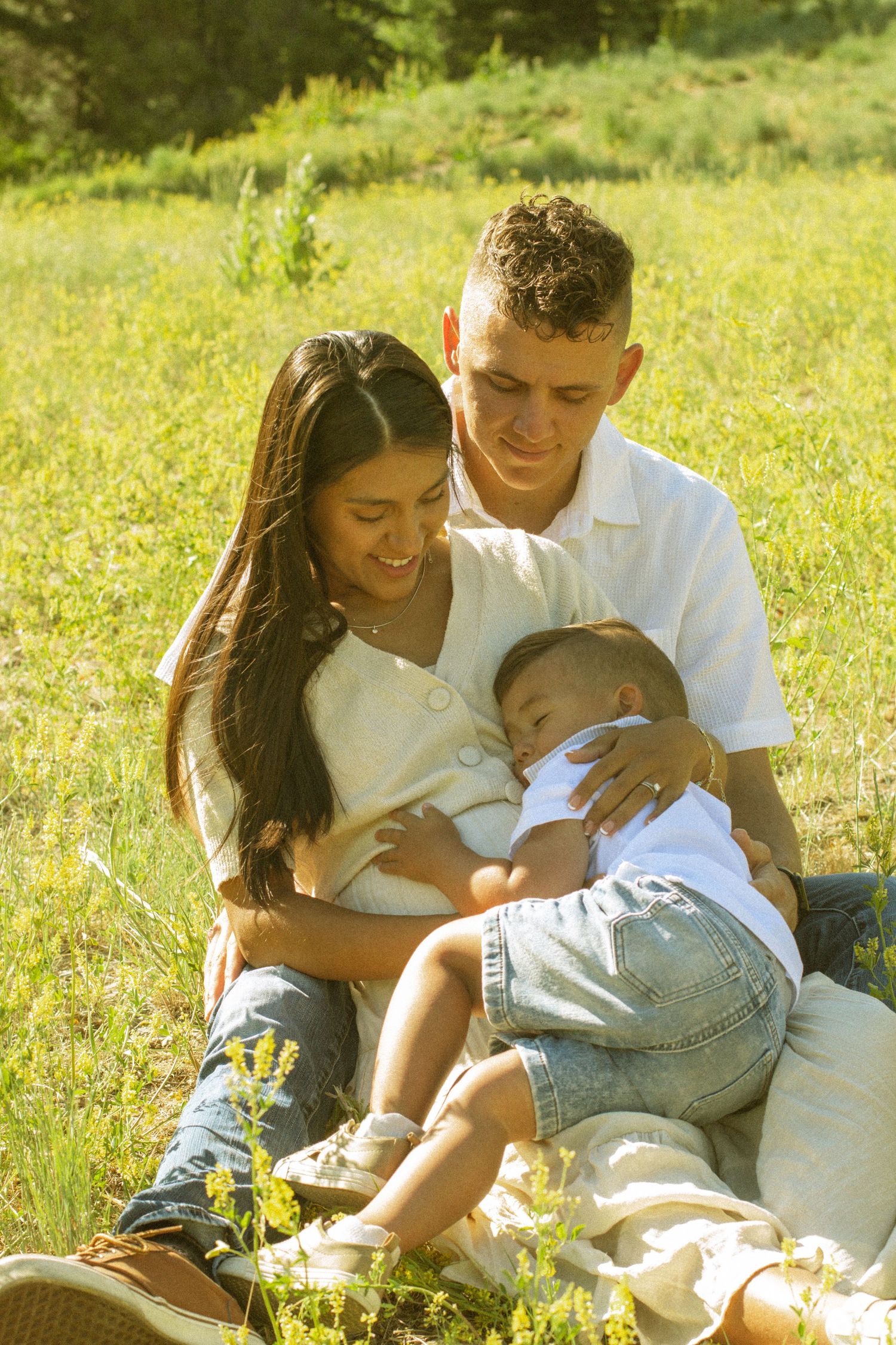 A family sits together on grass in a sunlit meadow during a warm summer afternoon.