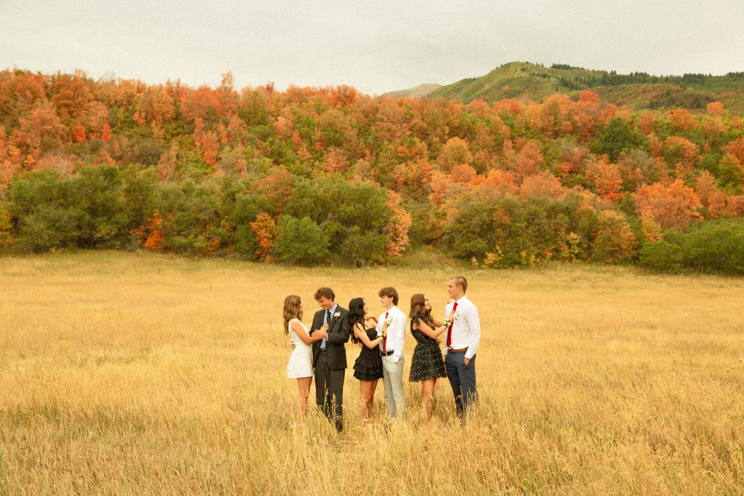 A group walks through a golden autumn field with vibrant fall foliage on rolling hills in the background.