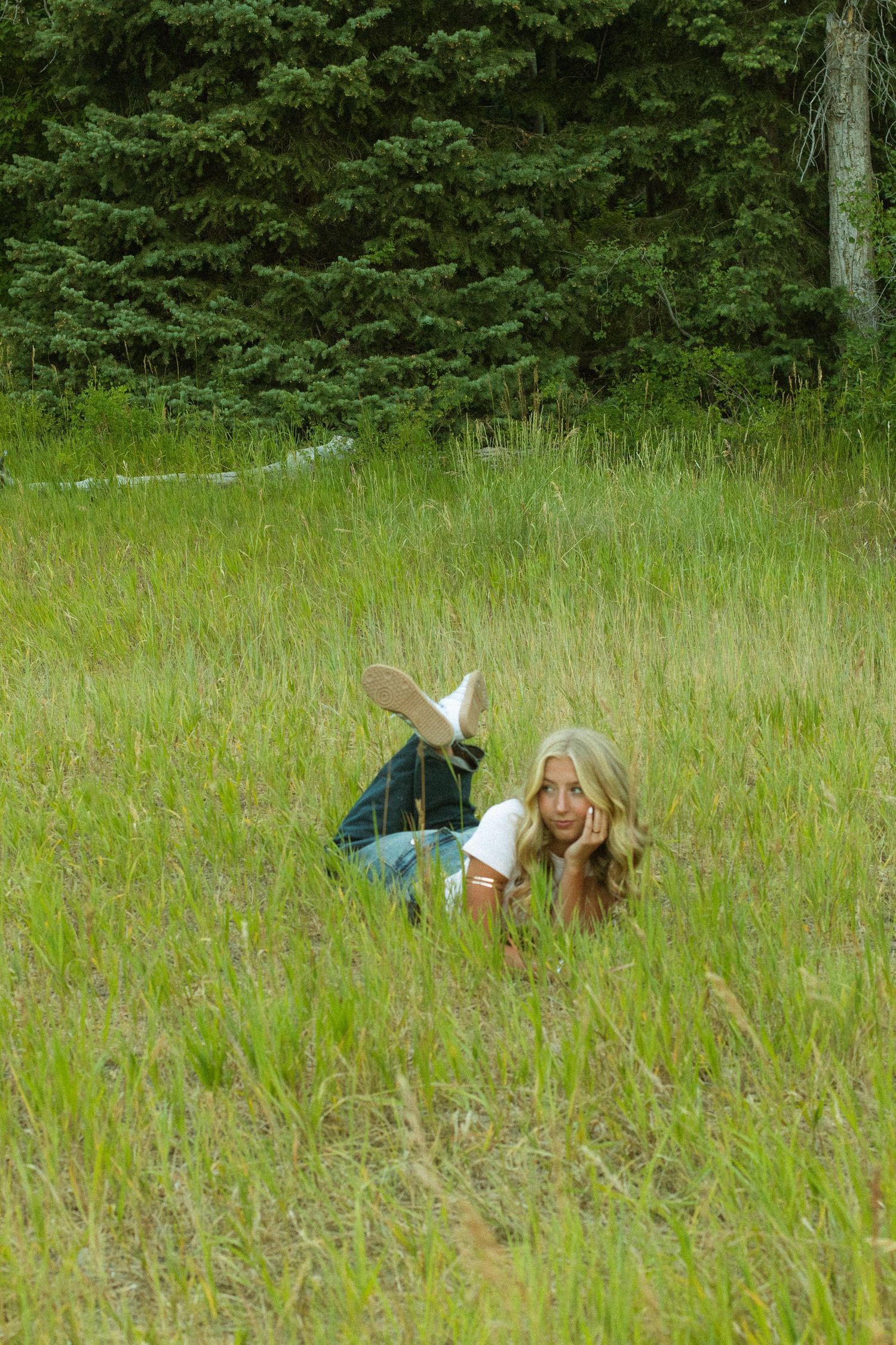 People relaxing in tall grass with a forested backdrop on a sunny day.
