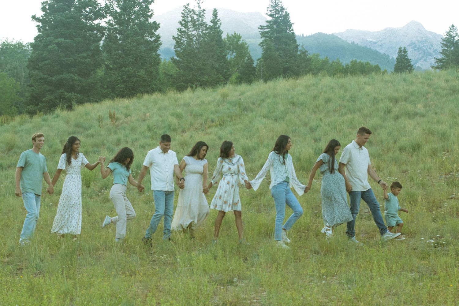 A group of people holding hands while walking in a line across a green hillside meadow with evergreen trees in the background.