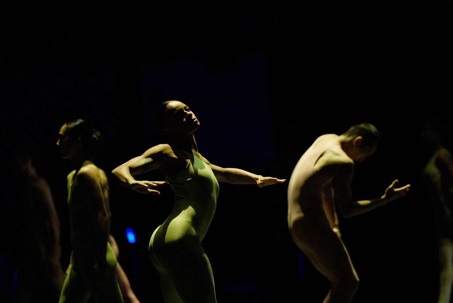 NDT - Wildsong