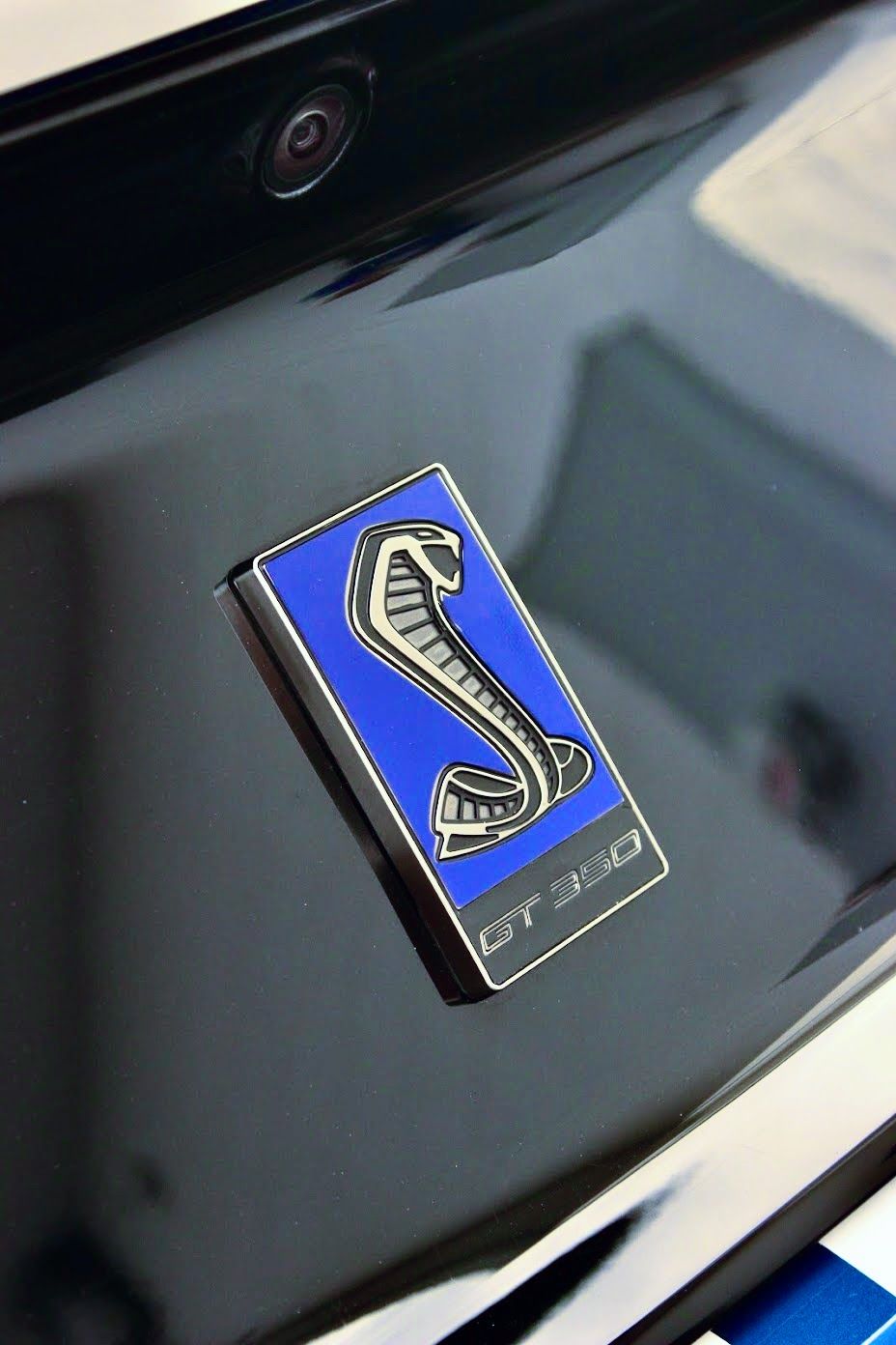 Shelby