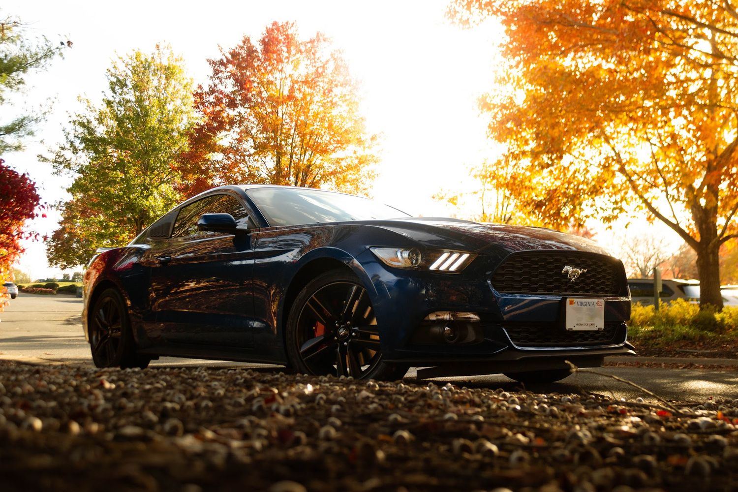 Ford Mustang GT