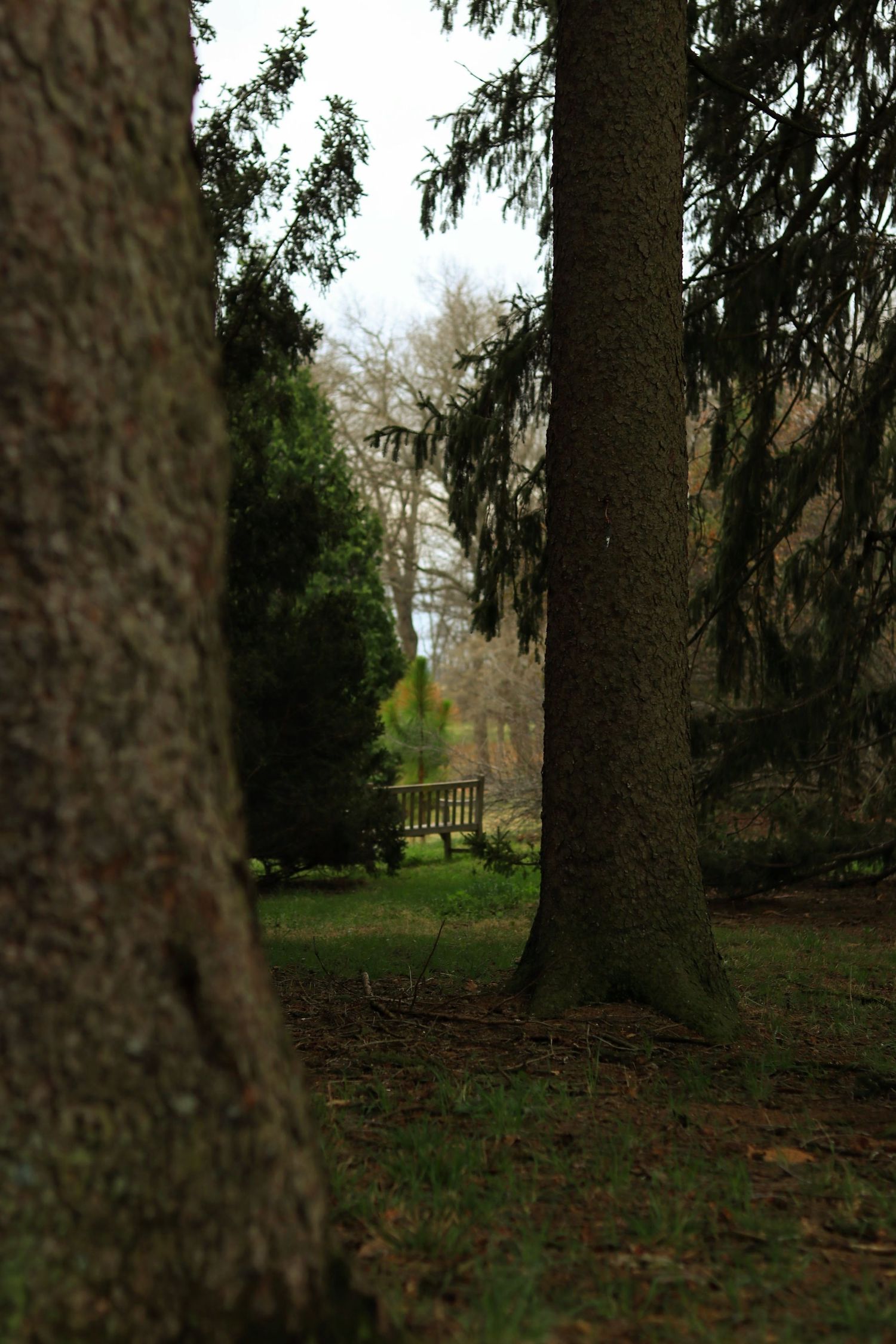 Virginia State Arboretum