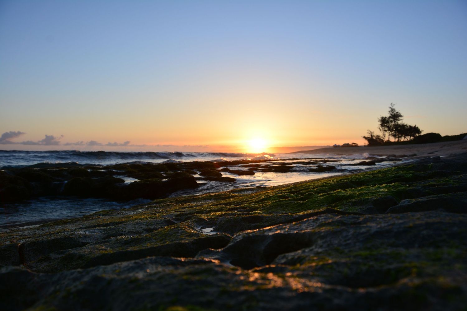 NORTH SHORE HAWAII