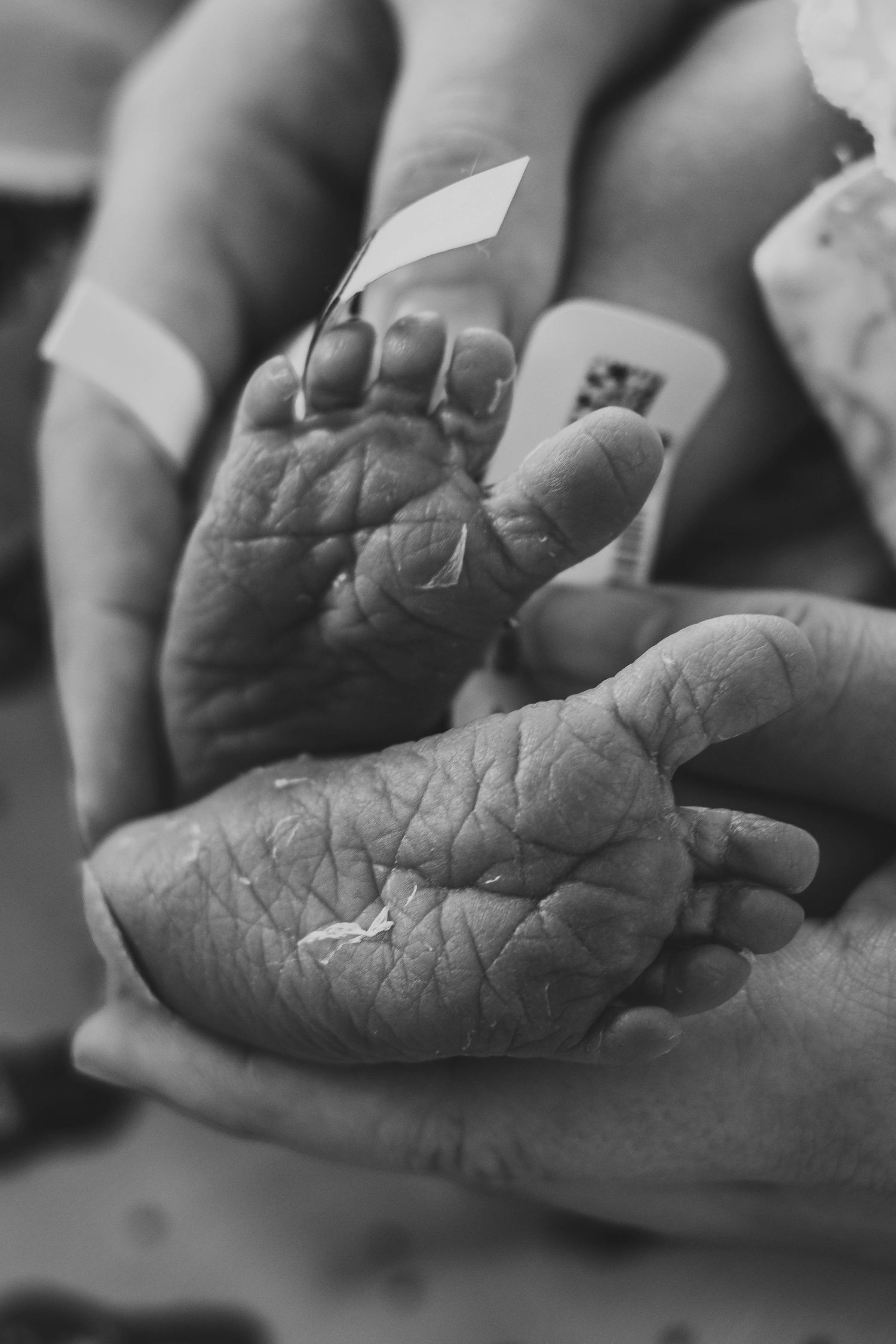 newborn