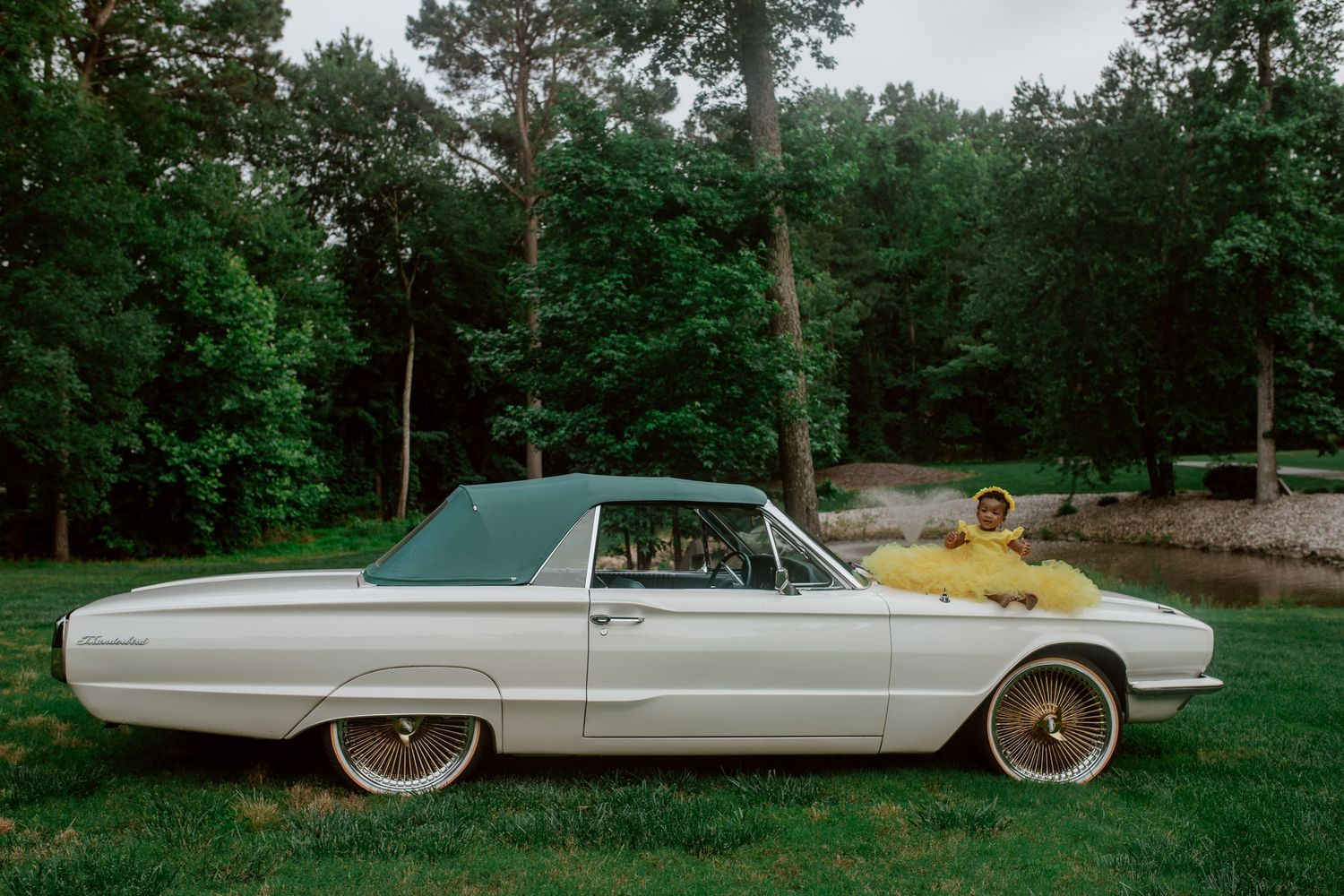 A series of vintage convertible luxury cars displayed in a row against a green outdoor backdrop.
