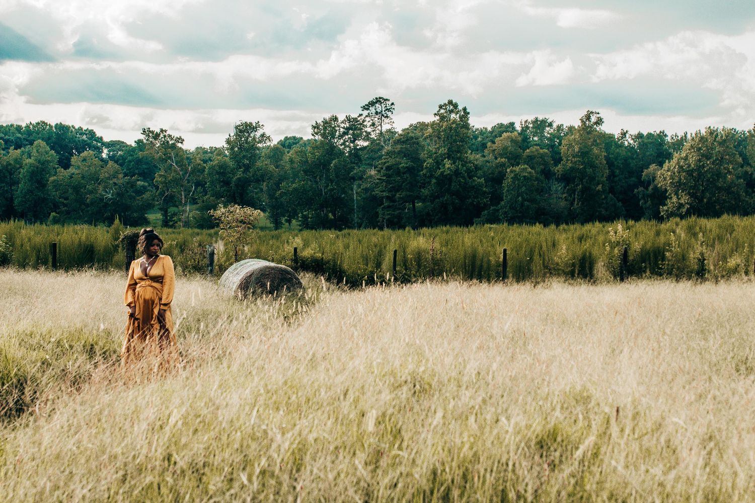 A person stands in a golden field of tall grass with trees in the background under a cloudy sky.