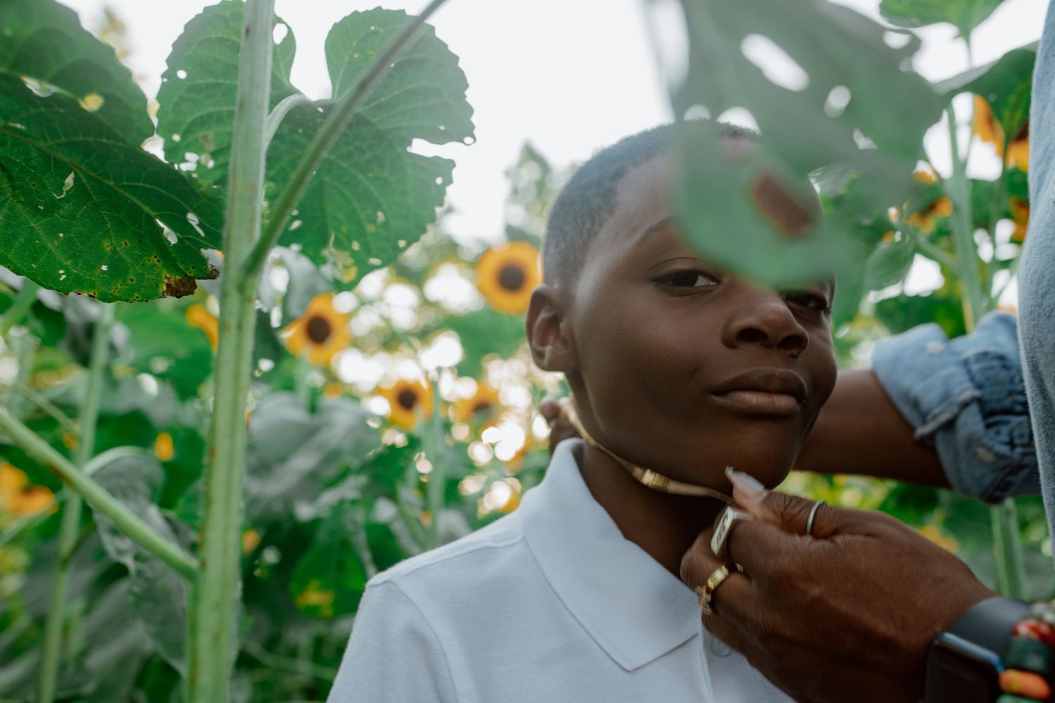 A series of expressive portraits among green leaves in natural sunlight.